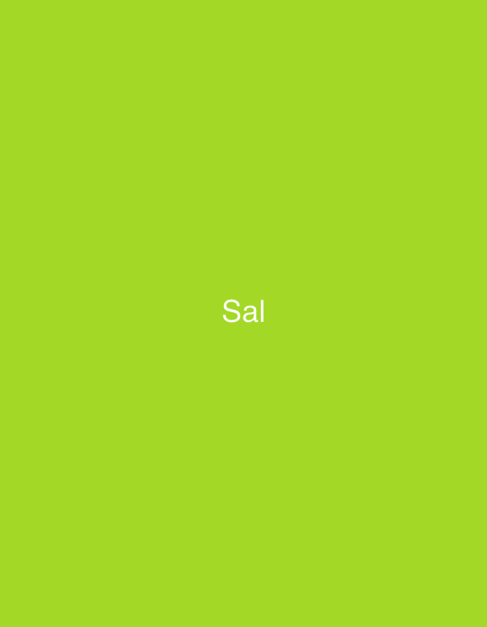 The image is a digital graphic featuring the word "Sal" rendered in white, sans-serif text. The text is centrally positioned against a solid, uniform lime green background. No other subjects, objects, people, actions, or interactions are present. The environment is entirely abstract, consisting solely of the colored field and text. The image contains no visual information, such as geographical markers, architectural features, or contextual clues, to determine a specific physical location, including the city of Casablanca, Morocco.