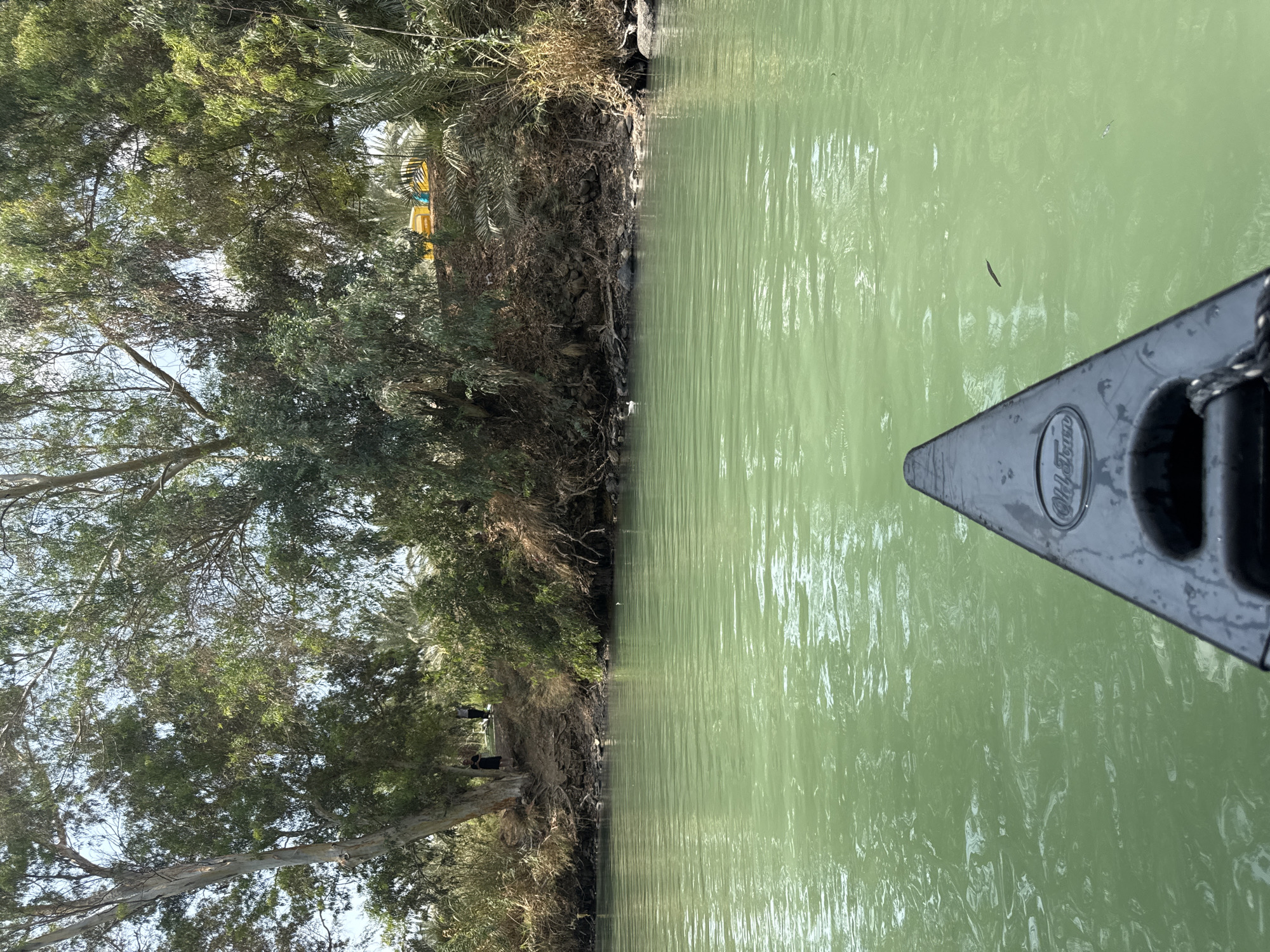 The image shows a view from a canoe on a green, slightly rippling river. The front tip of the dark gray canoe is visible in the foreground, with a rope attached. The riverbanks are lined with lush green trees and vegetation. In the background, on the right bank, there is a dense cluster of palm trees and other greenery. On the left bank, further back, two individuals are standing near a large tree. The sky is bright and appears to be a clear day, with sunlight filtering through the trees. The overall impression is a serene natural scene, likely in a riparian environment.