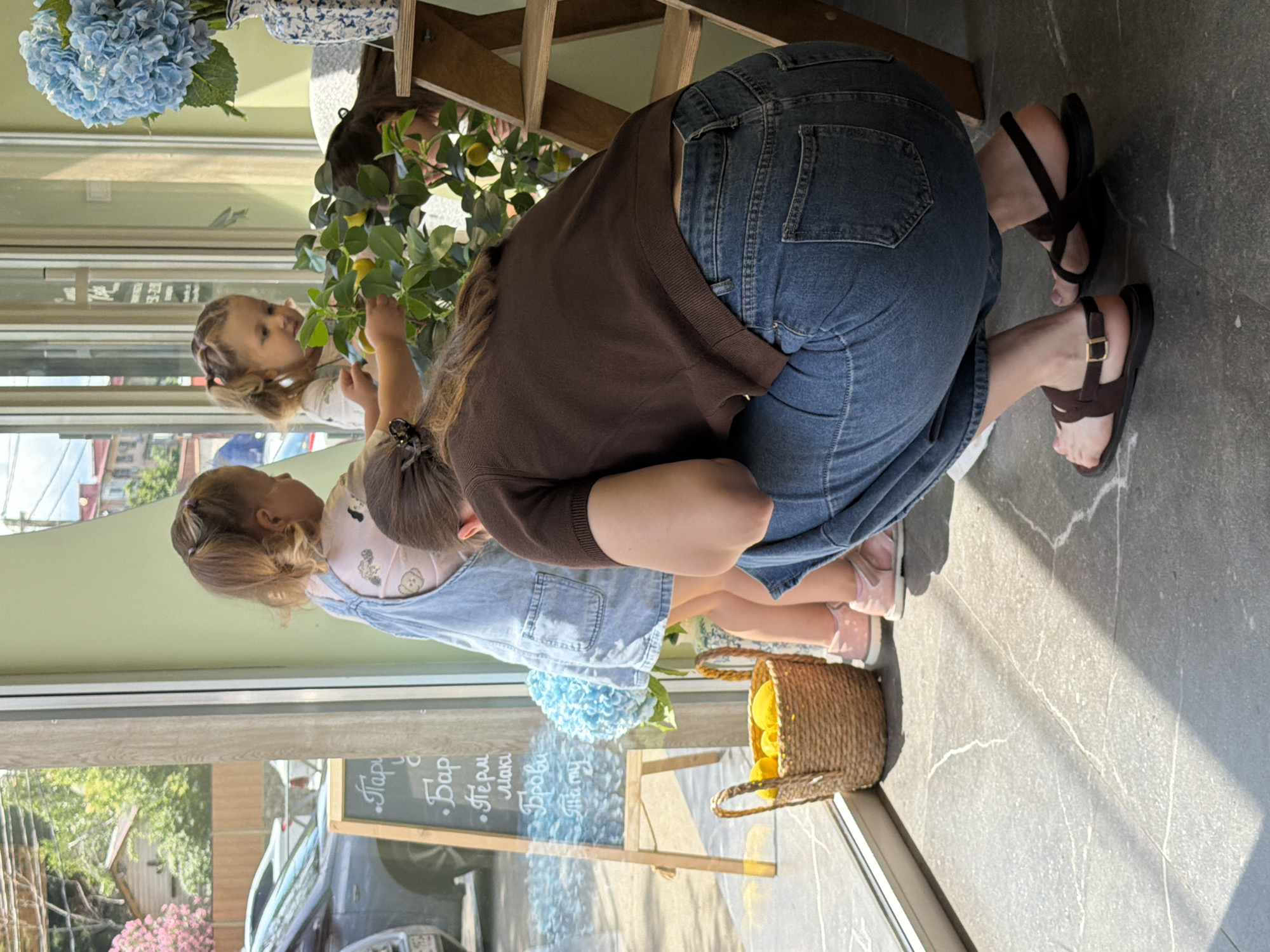 A woman in blue jeans and a brown shirt is crouching in front of a small lemon tree, tending to it. Next to her, two young girls, one in a denim overall dress, are also looking at the tree. The scene appears to be indoors, possibly a cafe or shop, with a large window showing a street with cars and buildings. A basket of lemons sits on the floor near the woman's feet. A chalkboard with Russian text is visible to the left, displaying a menu of services. A blue hydrangea arrangement is also in the background. The overall atmosphere is casual and domestic, suggesting a moment of everyday life captured in a Sochi setting.