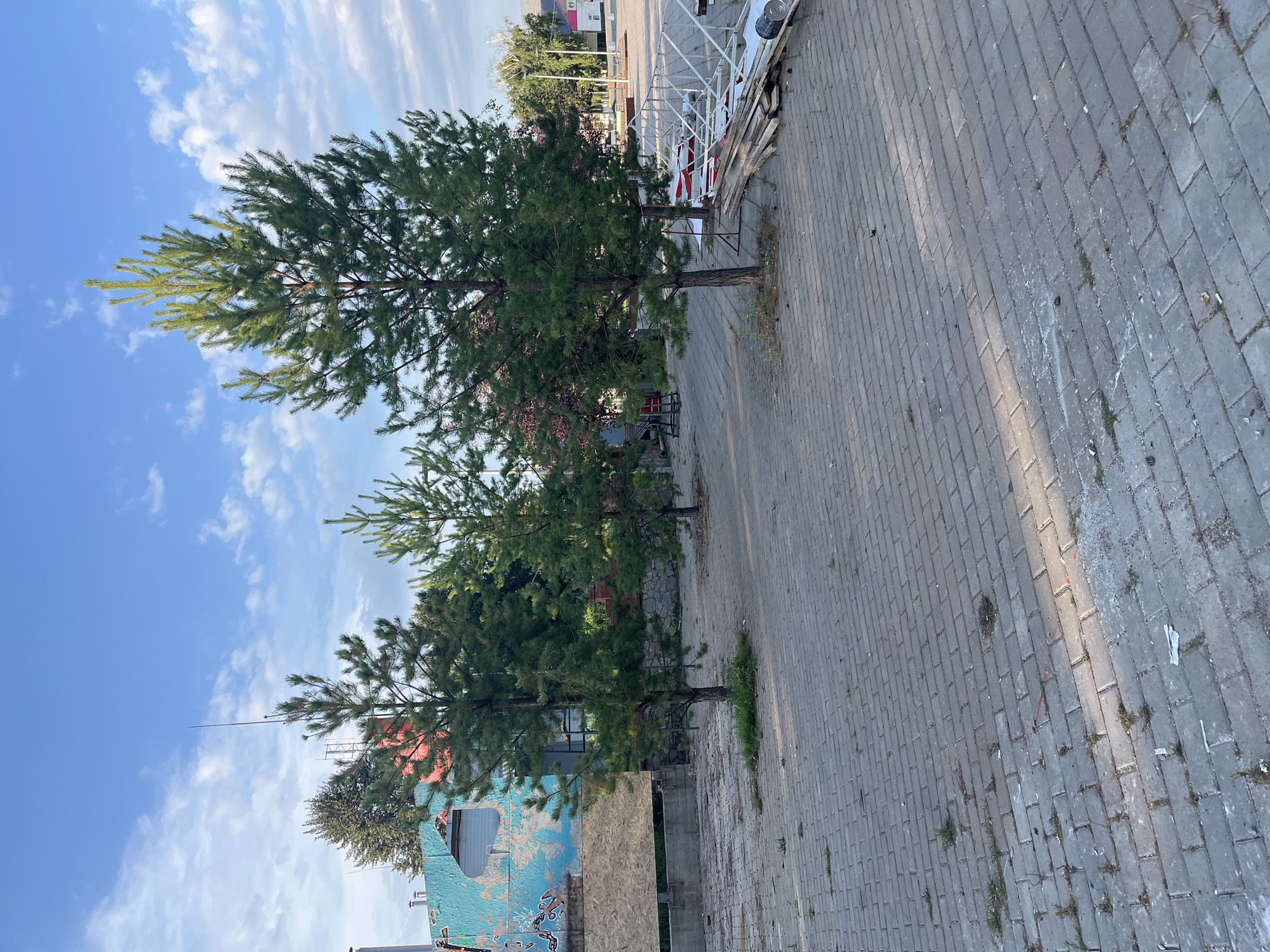 In Novye Turbasly, Russia, a paved area with cobblestones features several young pine trees. To the left, a brightly painted building with blue and red sections and graffiti is visible. In the mid-ground, a construction area is indicated by a pile of wooden planks and metal structures. The ground is littered with debris, including small pieces of paper and some sparse vegetation growing between the cobblestones. The sky above is blue with scattered white clouds.