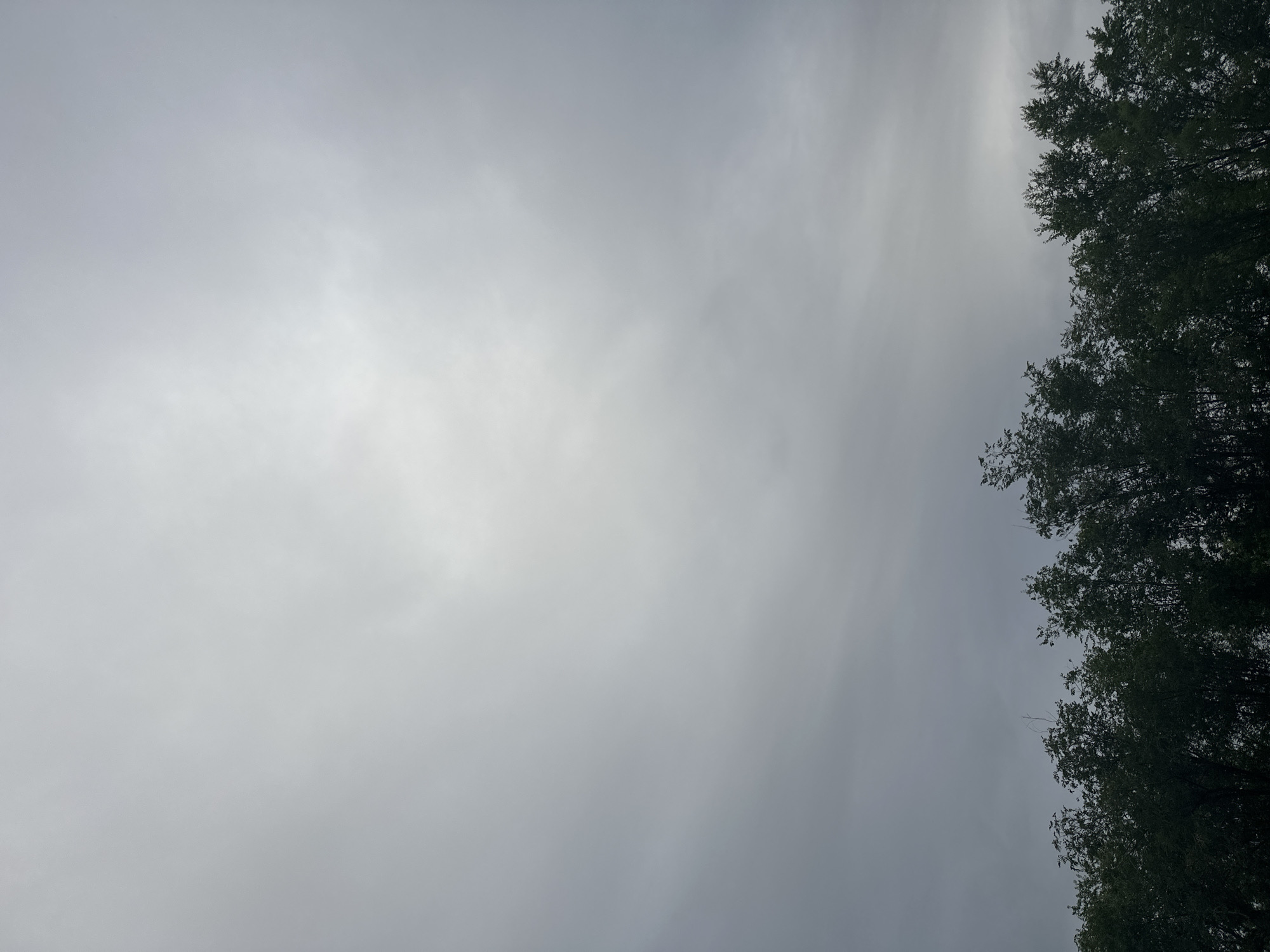 The image shows a view of a cloudy sky above a line of dark green trees. The sky is mostly overcast with a lighter patch of clouds towards the top center. The trees are dense and appear to be deciduous. The overall lighting suggests it is daytime, but the heavy cloud cover creates a muted and somewhat dim atmosphere. There are no people or specific landmarks visible, making it impossible to determine the city or specific location.