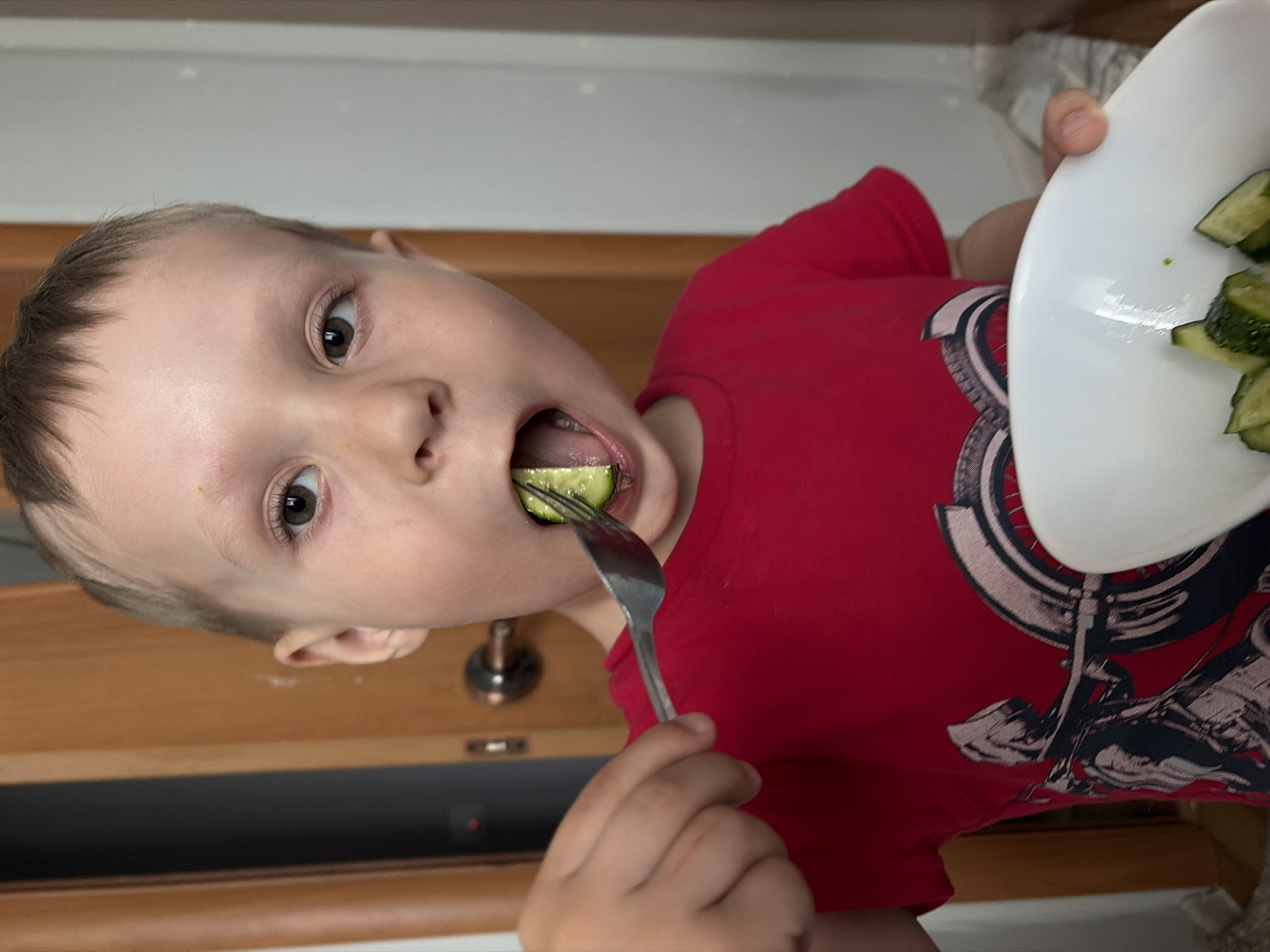 A young boy in a red t-shirt is eating a slice of cucumber with a fork. He is holding a white plate with more cucumber slices. The setting appears to be indoors, with a wooden door and part of a light-colored wall visible in the background. The city of Chaikovsky, Russia, cannot be confirmed from the image.