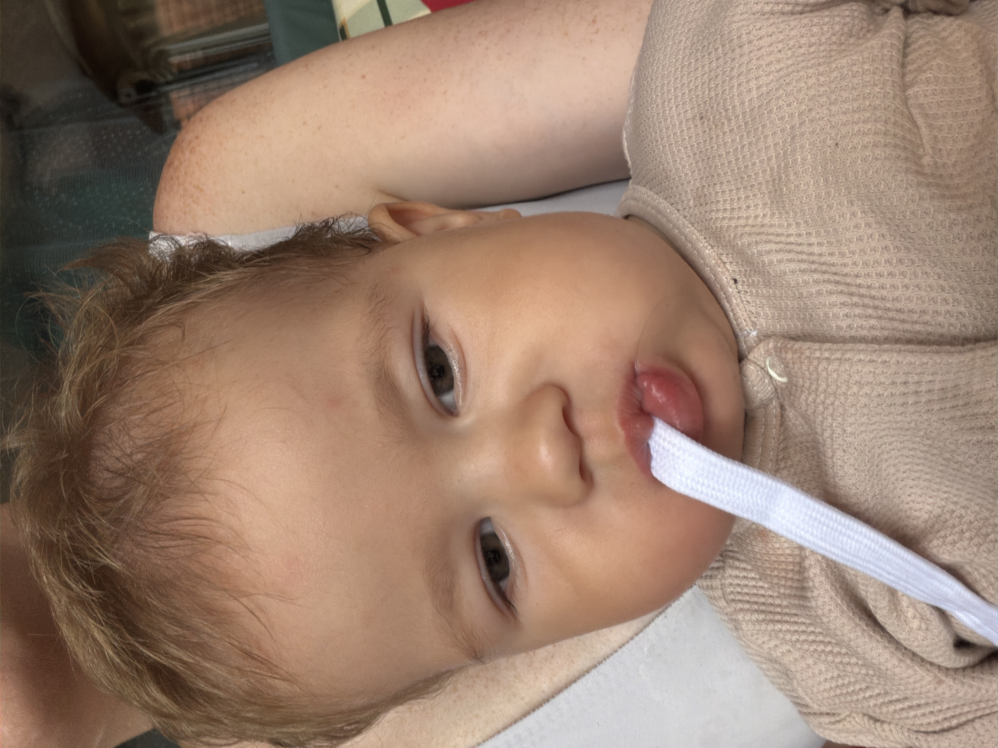 An overhead, close-up shot shows a baby with light brown hair, light skin, and brown eyes. The baby is wearing a beige, waffle-knit onesie. A white shoelace hangs from the baby's mouth and dangles down the front of the onesie. The baby's left arm and shoulder are visible to the right, as is part of another person's arm and shoulder. The background is blurred but appears to be outdoors with green foliage.