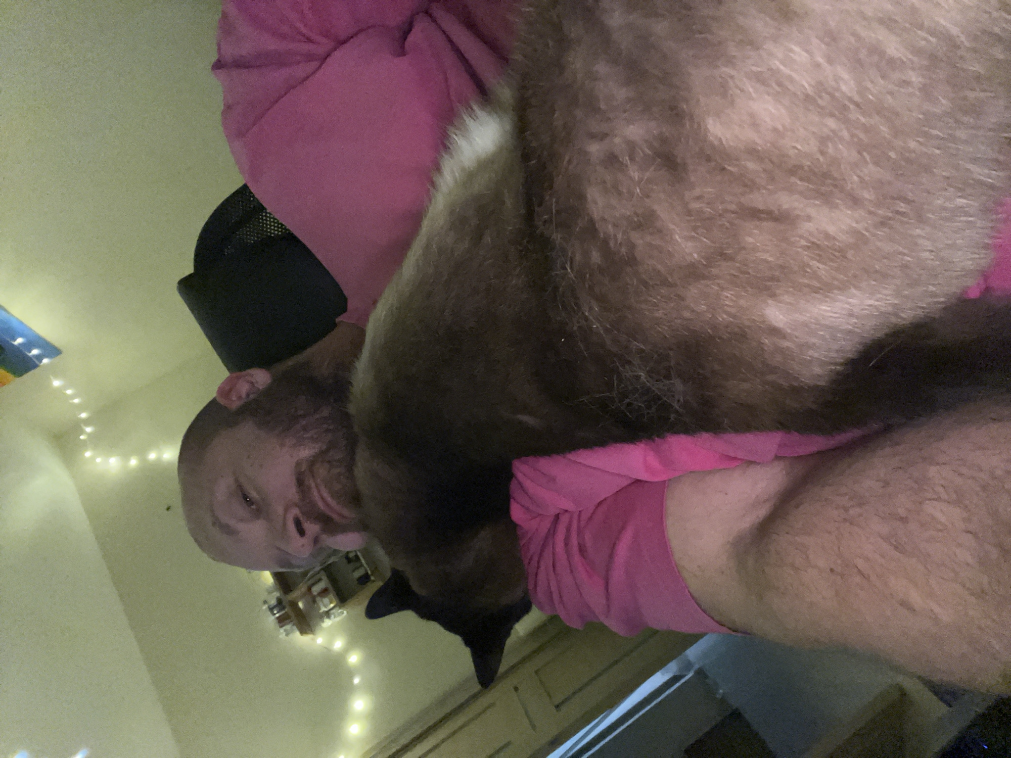 A man with a beard and wearing a pink shirt is holding a Siamese cat. The scene appears to be indoors, with string lights visible in the background. A black office chair is partially visible. The man is looking towards the camera. The location is not discernible as Noviy, Russia.