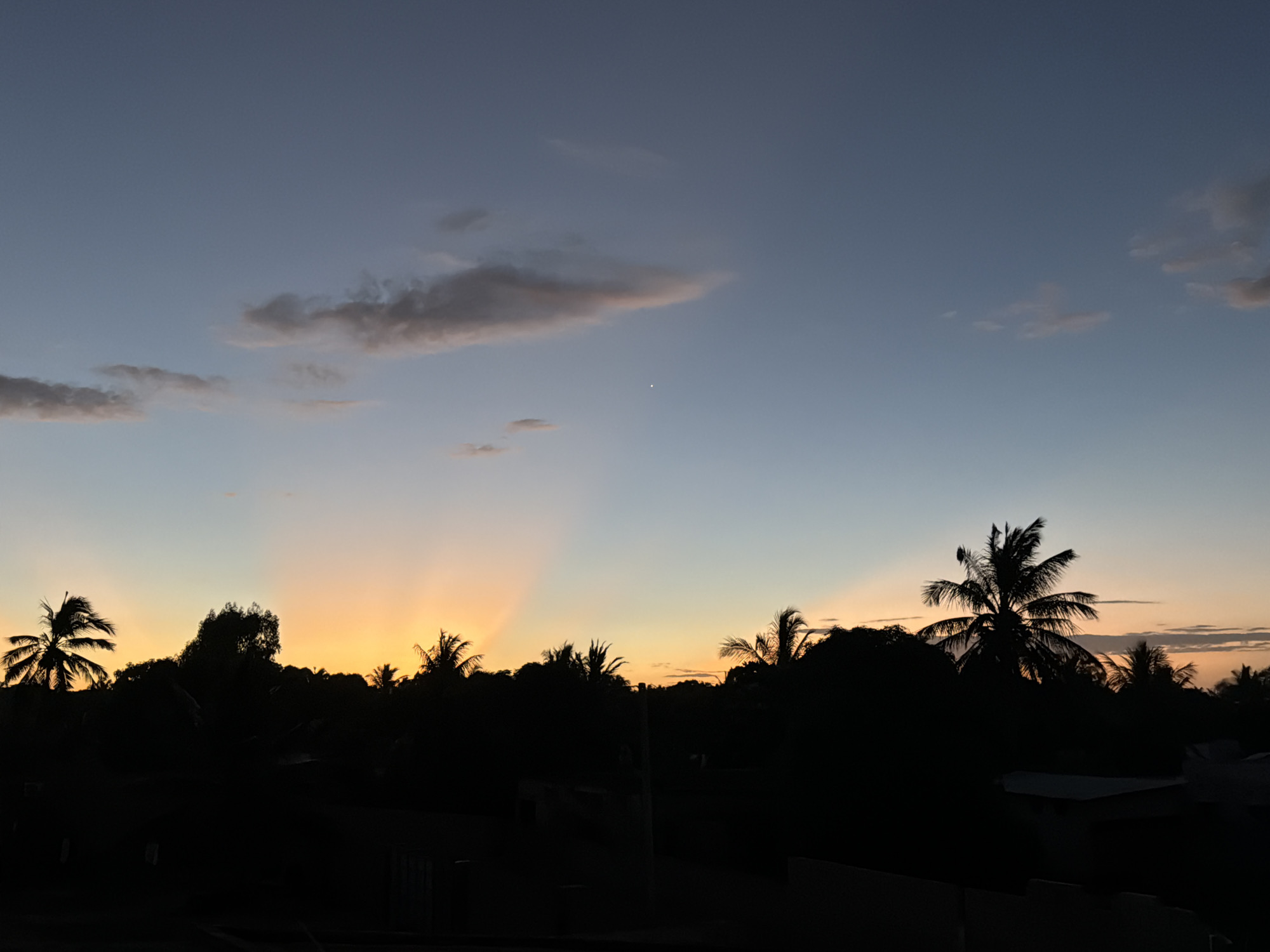 The image depicts a serene tropical or subtropical landscape during either sunrise or sunset. The sky transitions from a deep blue-grey at the top to vibrant orange and yellow hues near the horizon, indicating the sun's position just below the visible landscape. Scattered, wispy grey clouds are present, with some catching the warm glow of the sun. A distinct, bright white point of light, likely a star or planet, is visible in the upper central portion of the sky.
Prominent crepuscular rays, also known as sun rays, fan out from behind the silhouetted horizon line, strongly emphasizing the unseen sun. The lower half of the image is dominated by a dark silhouette of dense vegetation, primarily composed of various trees, including several prominent palm trees with their characteristic fronds. These trees form a rugged, natural skyline against the colorful sky. Below the tree line, subtle dark shapes suggest the presence of rooftops or low-lying structures, hinting at a rural or semi-urban setting. The overall mood is peaceful and tranquil, highlighting the natural beauty of the twilight hours. There is no visible text in the image.