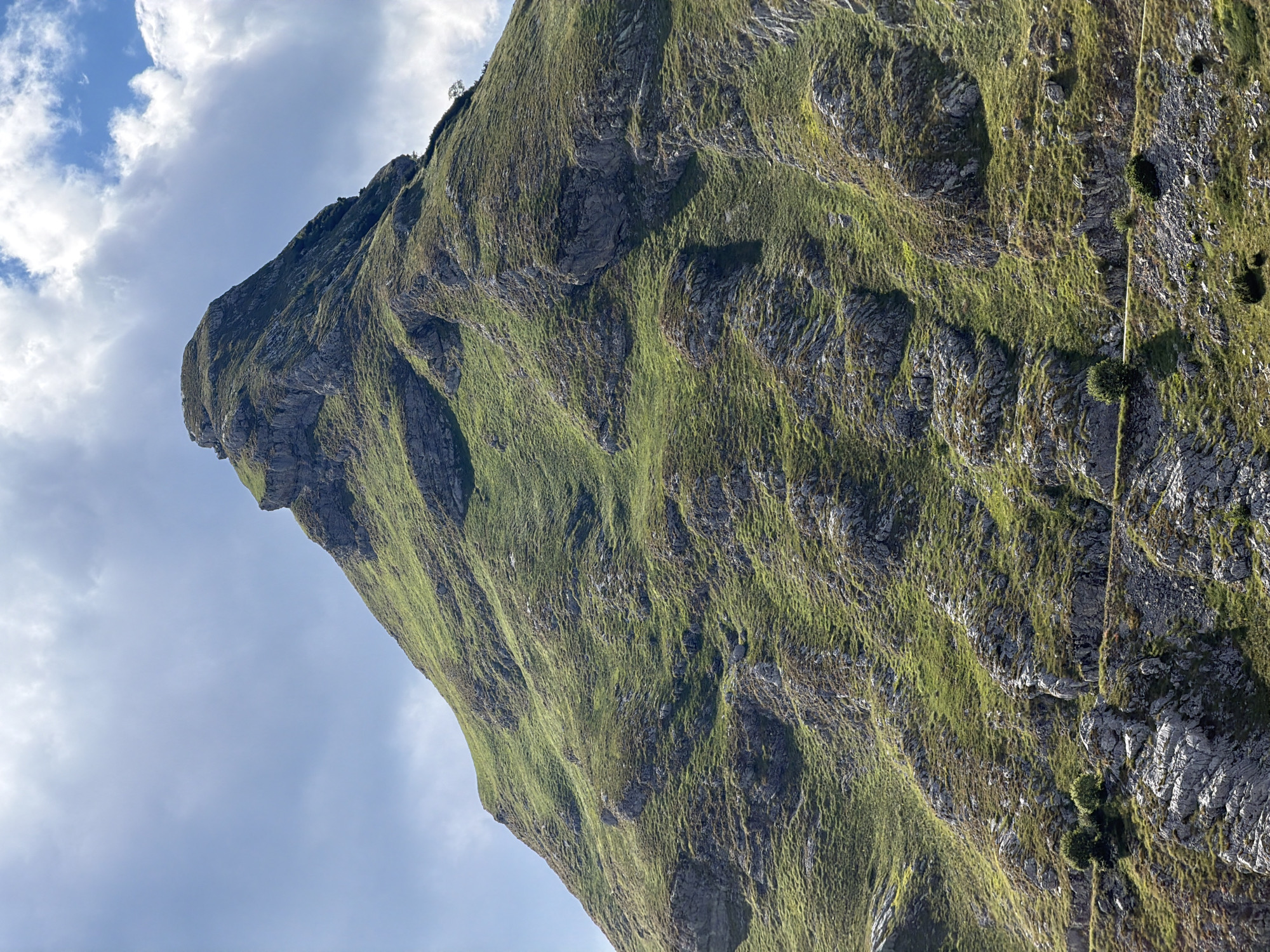 A steep, grass-covered mountain peak dominates the frame under a bright, cloudy sky. The mountain's slopes are textured with rocky outcrops and patches of green grass, creating a rugged landscape. A narrow, winding dirt path is visible along the lower right side of the mountain. A few small, sparse trees and bushes are scattered across the lower slopes. The image captures a natural, mountainous environment.