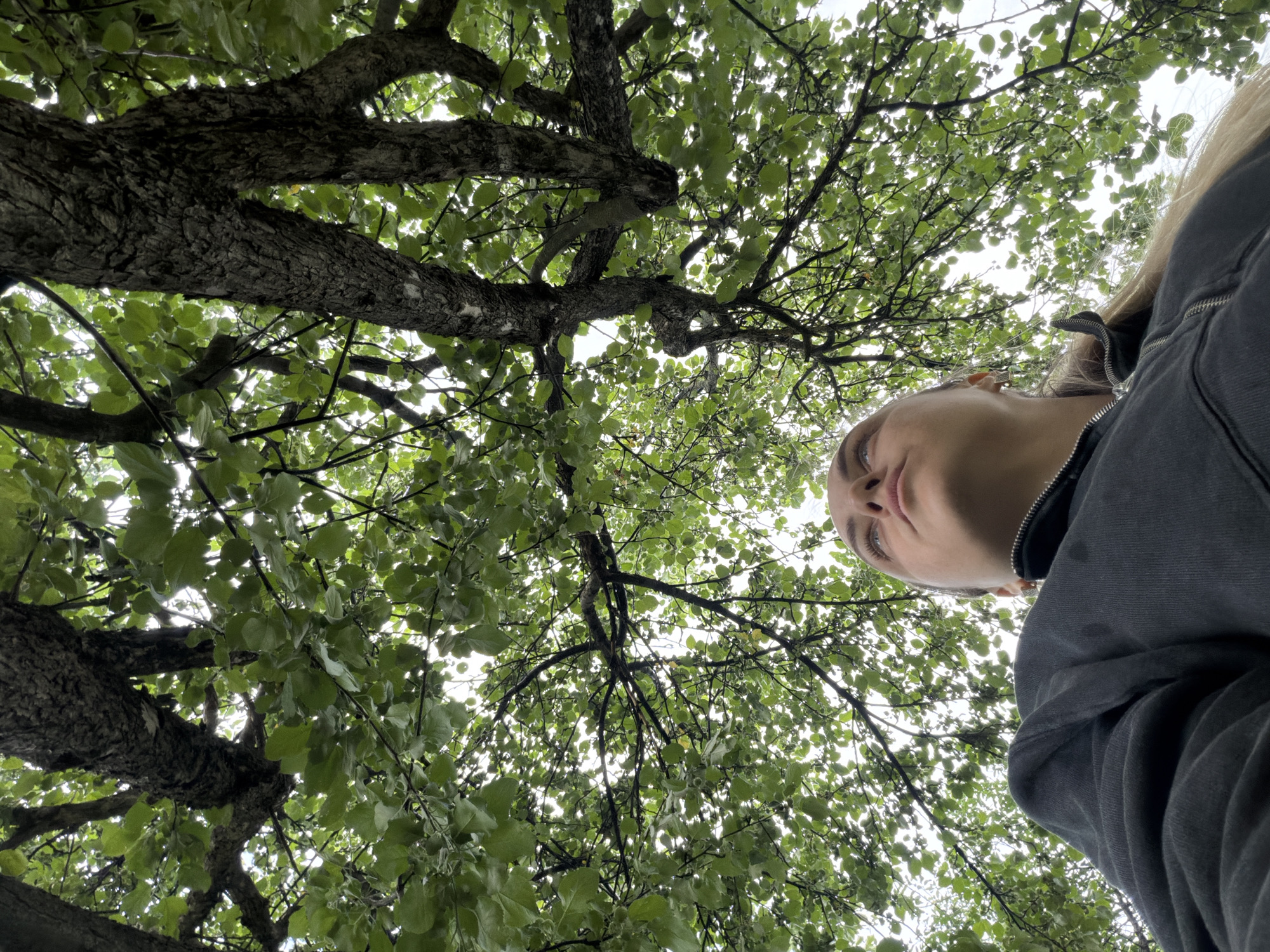 A young woman is pictured from a low angle, looking up through the branches of a tree. She is wearing a dark gray zipped hoodie and has blonde hair. The background is dominated by the lush green leaves of the tree, with glimpses of a pale sky through the canopy. The scene appears to be outdoors, likely in a park or natural setting within the city of Votkinsk, Russia, suggested by the presence of mature trees and a somewhat overcast sky typical of the region. There are no other individuals or objects of note in the frame.