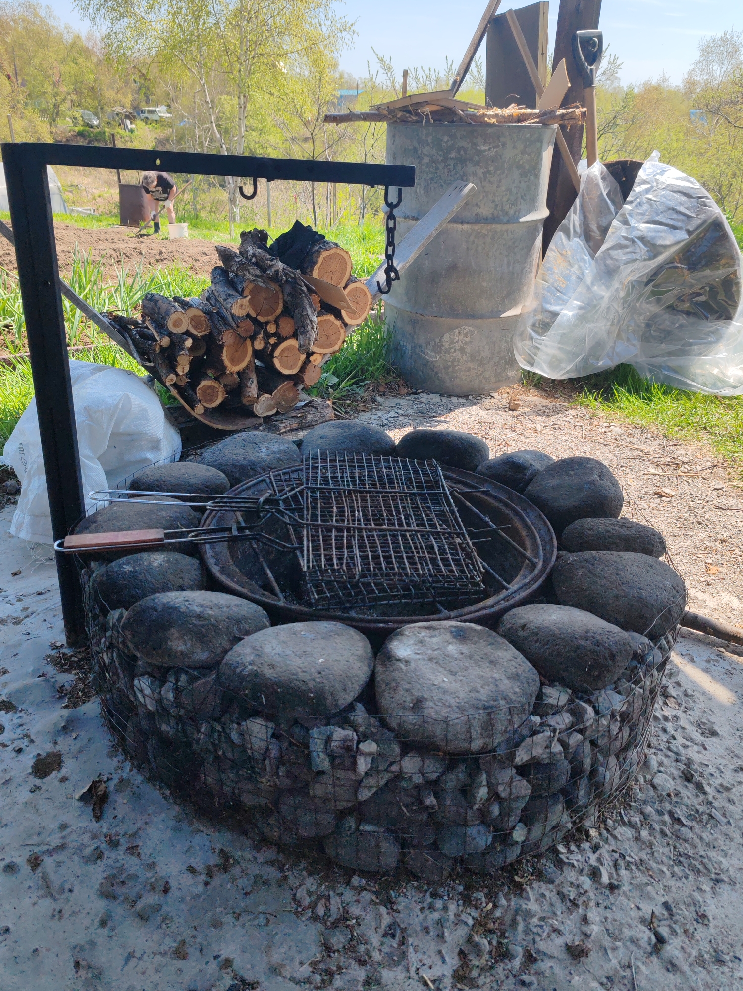 This image captures an outdoor scene at an unspecified rural or semi-rural property in Unknown, Unknown, under bright daylight with a clear sky. In the foreground, a circular fire pit serves as the central subject. It features a base constructed from a wire mesh gabion filled with smaller stones, topped by a ring of larger, dark, rounded river stones. Inside the stone ring, a rusted metal rim holds a smaller metal basin. Two metal grill grates, one flat and one hinged with a wooden handle, rest on top of the basin. To the left of the fire pit, a black metal stand with a horizontal bar extends, from which a chain and hook are suspended.
Adjacent to the fire pit on the left, a stack of cut firewood logs is visible. Further in the midground, a lone individual is observed working in a cultivated garden plot, actively hoeing the soil. They are wearing a dark t-shirt and light-colored shorts, with a white bucket nearby. In the background, a row of green-leafed trees and possibly a greenhouse structure are present.
To the right of the fire pit, two galvanized metal barrels are situated. The top barrel contains various pieces of scrap wood and possibly other debris, with a shovel leaning against it. A large, clear plastic bag, partially filled, lies on the ground next to the barrels. The ground in the immediate vicinity of the fire pit consists of a mix of concrete or compacted earth on the left and loose dirt and gravel on the right. Green grass and foliage are visible throughout the scene, indicating an active growing season.