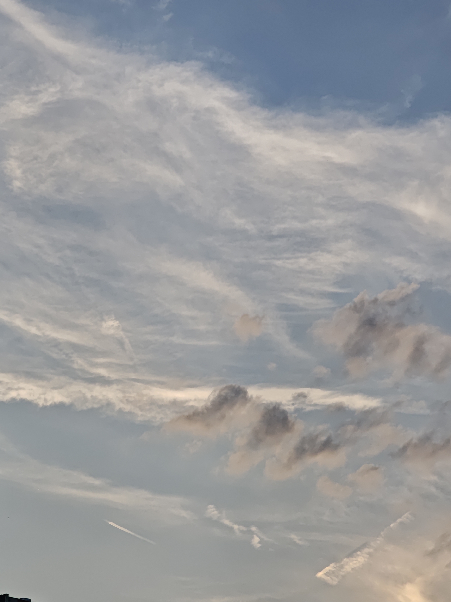 The image captures a vast expanse of the sky above Sofia, Bulgaria, dominated by a dynamic cloudscape. Wispy, white cirrus clouds stretch across the upper portion of the frame, interspersed with larger, puffier cumulus clouds lower down. Some of these cumulus clouds exhibit hints of pink and grey, suggesting the soft light of either dawn or dusk. A faint contrail, likely from an airplane, streaks diagonally across the lower half of the sky, appearing as a thin, elongated white line against the pale blue backdrop. The overall impression is one of natural beauty and the serene transition of daylight. The bottom edge of the image shows a sliver of dark, silhouetted structures, possibly buildings or trees, hinting at an urban setting.