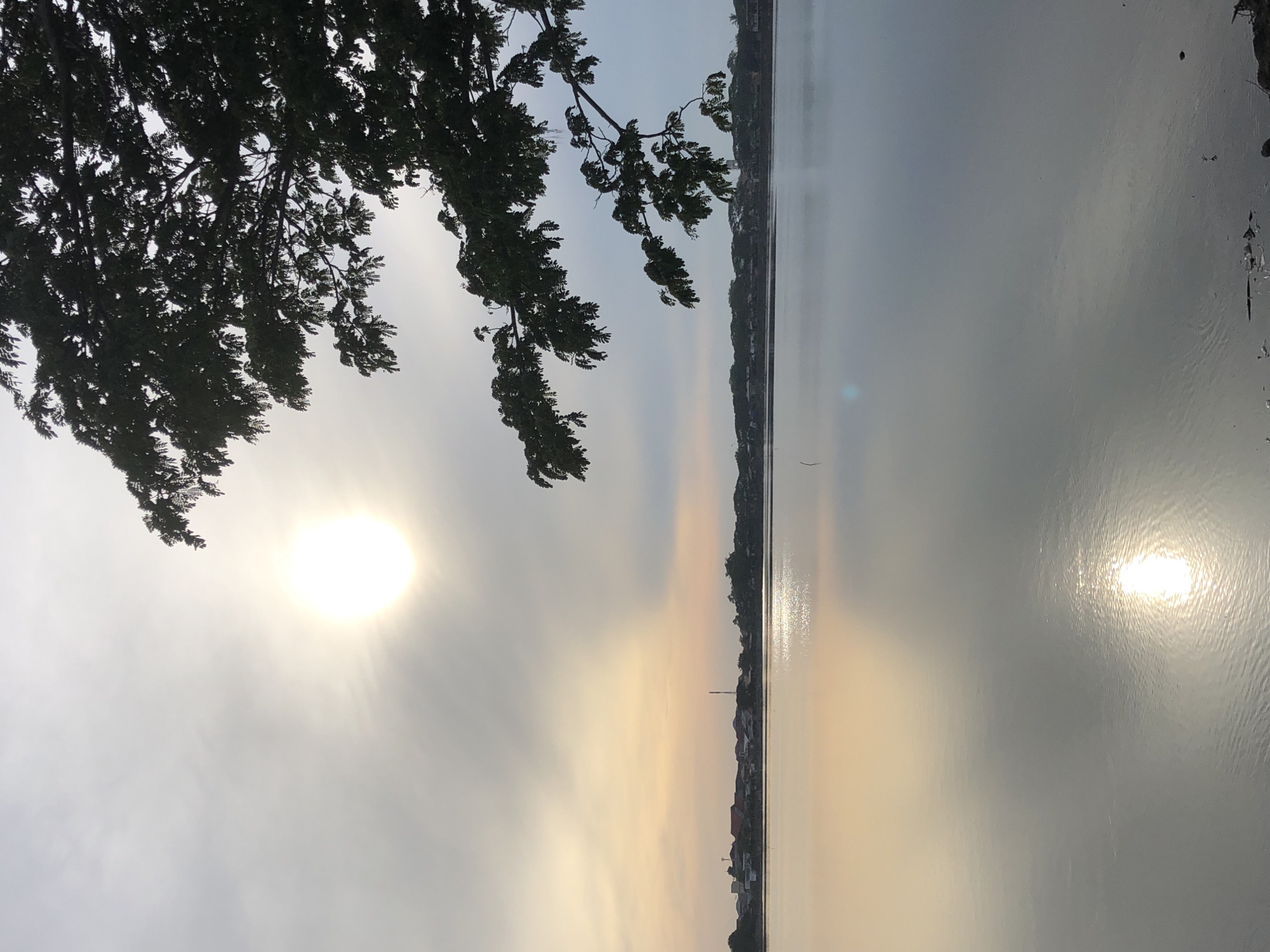 The image depicts a serene lake at sunrise, with the sun a bright, diffused orb in the hazy sky. The foreground is dominated by the still, reflective surface of the water, mirroring the sky and the distant shoreline. On the right side of the frame, a dark, silhouetted tree branch with lush foliage extends into the sky, its leaves creating an intricate pattern against the bright background. The middle ground features a low-lying town with houses and buildings along the edge of the lake, suggesting a settlement within the city of Lhokseumawe, Indonesia. The overall atmosphere is tranquil and peaceful, characteristic of an early morning by the water.