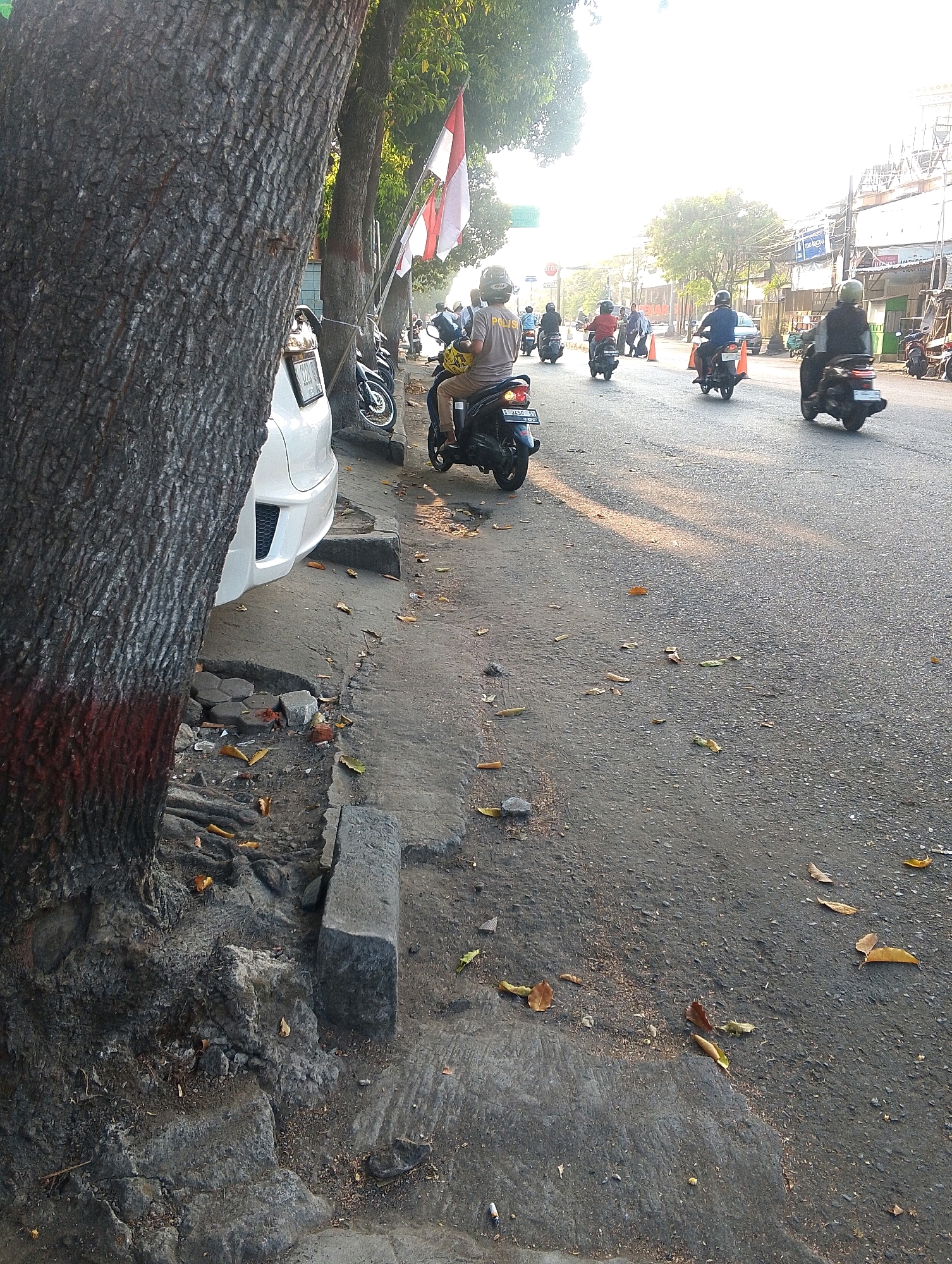 A street scene in an urban environment shows a large tree trunk on the left, with red paint marking its base. A white car is parked to the right of the tree. The road is paved with asphalt and littered with fallen leaves. Several people on motorcycles are riding on the road, with some wearing helmets. In the background, there are buildings and trees, and flags are visible on poles. The lighting suggests it is daytime, with sunlight casting shadows on the road.