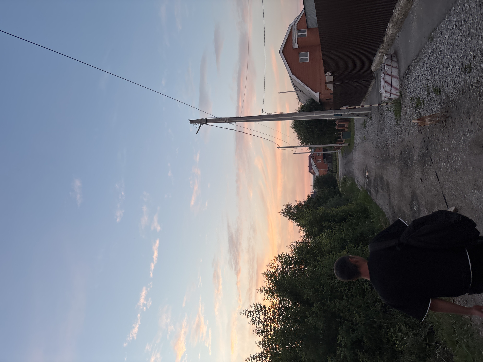 A man walks away from the camera down a gravel road in Vishnevka, Russia, during twilight. He is wearing a black t-shirt with white trim and carrying a black backpack. To his left, dense green foliage lines the road. On his right, a red brick house with white-trimmed windows and a white-roofed extension is visible behind a corrugated metal fence. A concrete ring structure with red and white markings sits next to the fence. A thin, light-colored dog with its tail raised walks ahead of the man on the road. Overhead, a pale blue sky is streaked with soft pink and orange clouds, indicating sunset. A utility pole with multiple wires stands to the right of the road, casting a shadow. Further down the road, other houses with red roofs and brick walls are visible.
