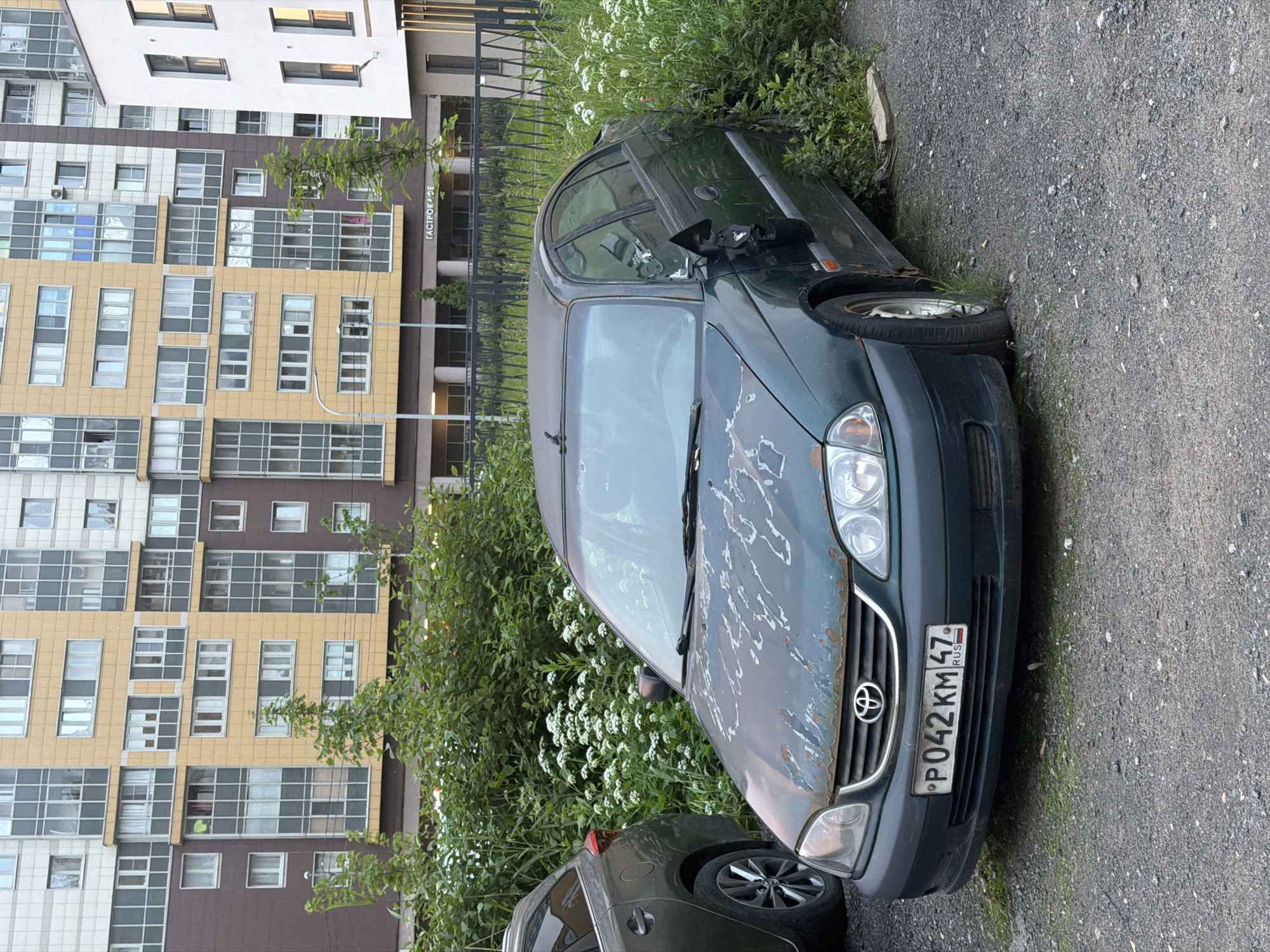 A dark green sedan is parked on a gravel surface next to a building and an overgrown area of greenery. The car is angled, with its front end closest to the viewer. The paint on the hood of the car is heavily weathered and shows patches of rust. The car's headlights and grille are visible, and a Toyota logo is present on the grille. A license plate is attached to the front of the car, with the text "P042KM47 RUS" visible.
Behind the car, a tall, modern building with numerous windows is visible. The building's facade is a mix of yellow and brown sections, with white trim around the windows. Some of the windows show reflections of the sky and surrounding environment. To the left of the building, there is a dense area of green vegetation with small white flowers. A black metal fence is also visible between the car and the building.
The image appears to have been taken during the daytime, with soft lighting that suggests an overcast or late afternoon sky. The overall scene depicts an urban or suburban setting with a parked vehicle in a somewhat unkempt state, contrasting with the modern architecture of the adjacent building. No people are visible in the image.