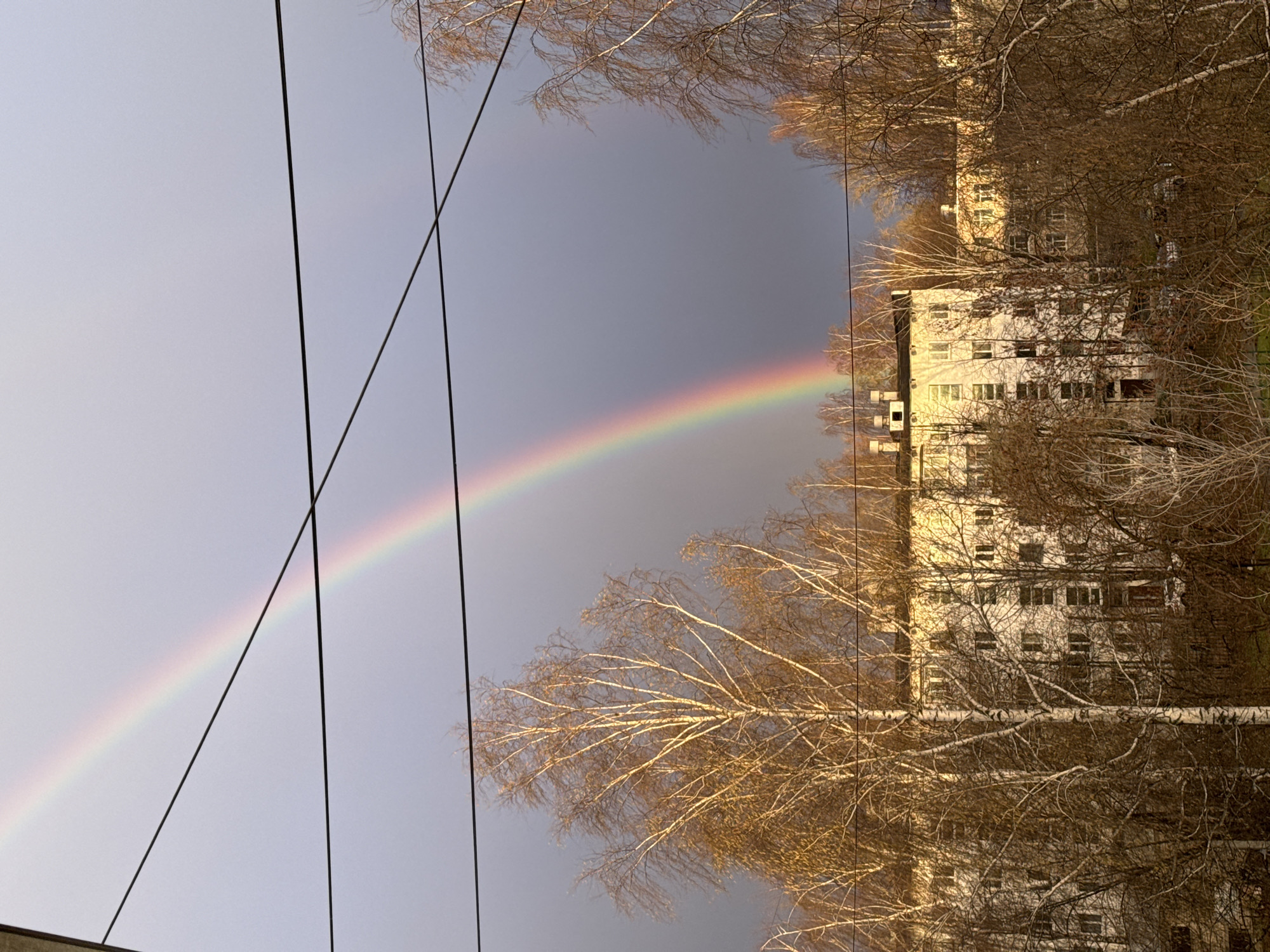 A vibrant rainbow stretches diagonally across a grey-blue sky, originating from the lower-left and arching towards the center-right of the image. The sky transitions from a lighter, clearer tone on the left to a darker, more subdued grey on the right. Several dark utility wires crisscross the upper-left sky, with one line intersecting the rainbow.
On the right side of the frame, a multi-story building, appearing to be an apartment or office complex, is brightly illuminated by golden sunlight, making its light-colored facade stand out. Numerous windows are visible on the building. Bare tree branches, tinged with the same warm, golden light, frame the building from the top and bottom, suggesting a late autumn or winter season. The warm illumination on the building and trees indicates either early morning or late afternoon light. The presence of the rainbow implies recent or ongoing precipitation coinciding with sunshine. No people or visible text are present in the urban or suburban setting.