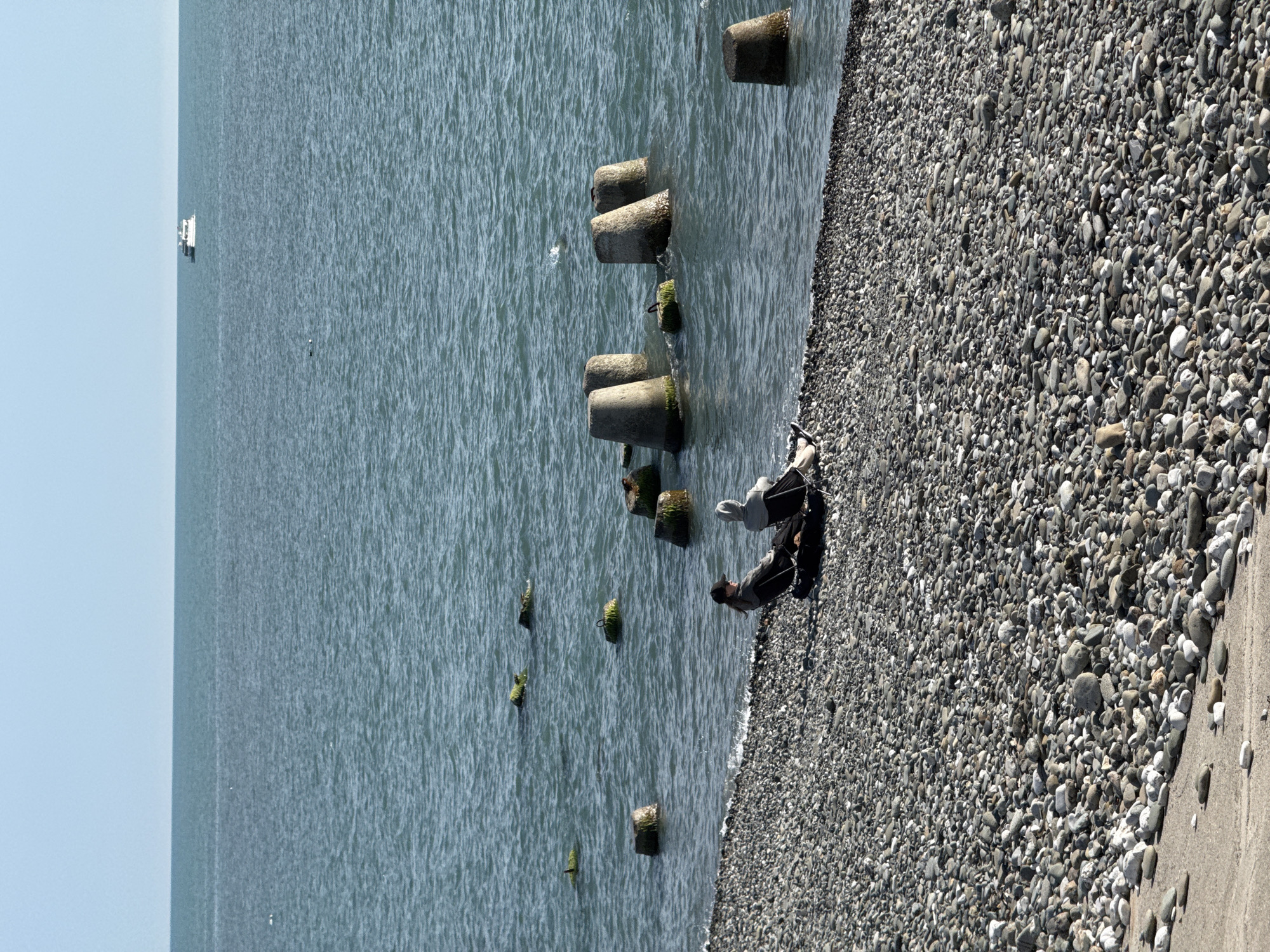 The image shows a beach in the city of Sirius, Russia. The beach is covered with grey pebbles and stones. The water is a light blue color, and there are several concrete tetrapods partially submerged in the water, near the shoreline. Some of these tetrapods have green algae or moss growing on them.
A person is standing on the beach, near the water's edge. The person is wearing a dark jacket and light-colored pants. It's difficult to discern their actions, but it appears that they are looking down, possibly examining something on the beach.
In the distance, there is a single boat on the water, relatively far from the shore. The sky is a clear, pale blue color. The scene appears to be taken during daylight, with bright sunlight illuminating the beach and water.