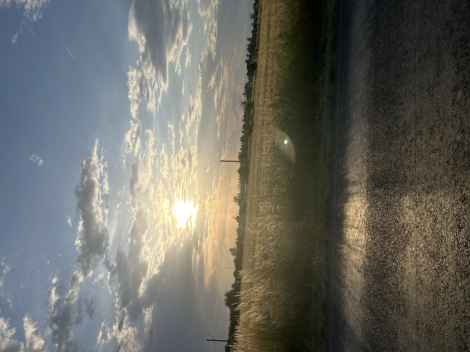 The image captures a serene rural landscape during either sunrise or sunset in Graf Ignatievo, Bulgaria. The bright sun, partially obscured by clouds, dominates the left side of the sky, casting a warm, golden light across the scene and creating a prominent lens flare. The sky transitions from a vibrant blue to lighter tones around the sun, dotted with white and grey clouds that are also illuminated by the low light.
Below the horizon, a vast field of tall, golden-hued grass or crops stretches across the middle of the frame, showing delicate textures from the sunlight. A line of trees and distant vegetation marks the horizon. Several utility poles with overhead power lines stand within the field, extending towards the background. On the right side of the image, a dark, granular gravel or dirt road runs along the edge of the field, reflecting the sun's golden rays. No people, animals, or specific activities are visible, emphasizing the quiet solitude of the natural setting. There is no visible text in the image.