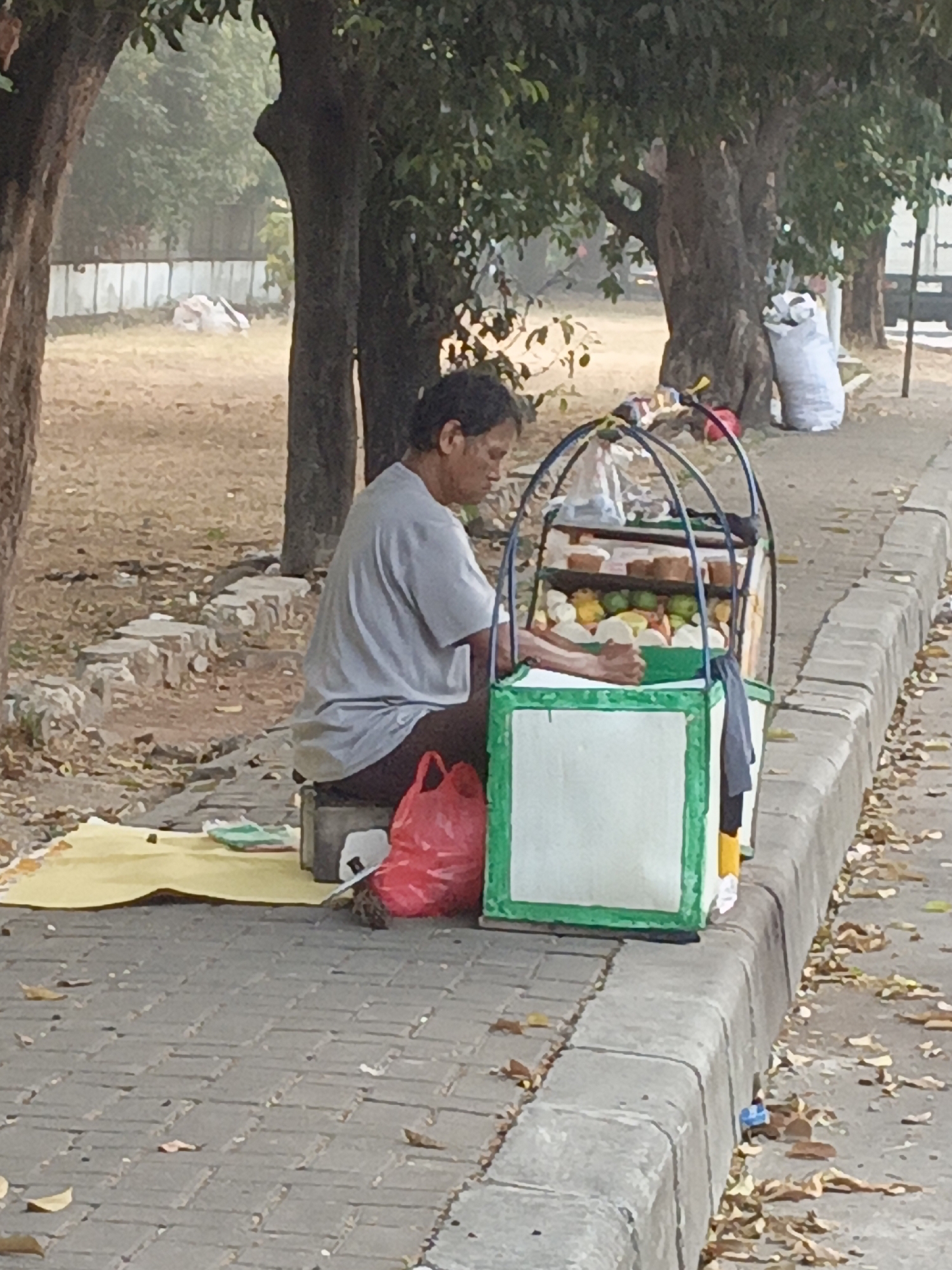 A person is sitting on a stool at the base of a tree next to a fruit cart on a paved sidewalk in East Jakarta, Indonesia. The person, wearing a gray t-shirt and dark pants, is looking down and appears to be interacting with the fruit cart. The fruit cart has a green frame and is filled with various fruits and containers. A red plastic bag is placed on the ground near the person. In the background, there are more trees, a wall, and some large white bags. The ground is covered with fallen leaves.