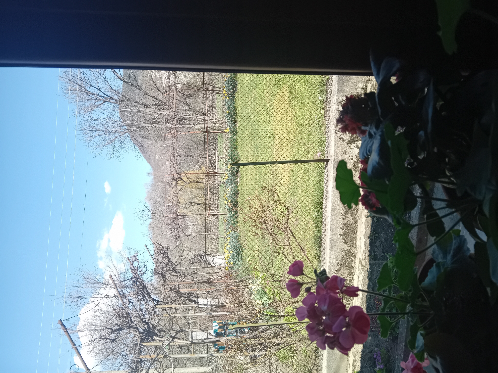 The image shows a view from inside a building, likely a residence, looking out through a window. A potted plant with pink flowers is in the foreground on the right side of the frame. Beyond the window, there's a scene of a garden or field with a chain-link fence separating it from what appears to be a vineyard. The vines are bare, indicating it might be late fall or winter. In the distance, there are hills or mountains under a clear blue sky with some scattered clouds. The location is identified as Unknown, Unknown.