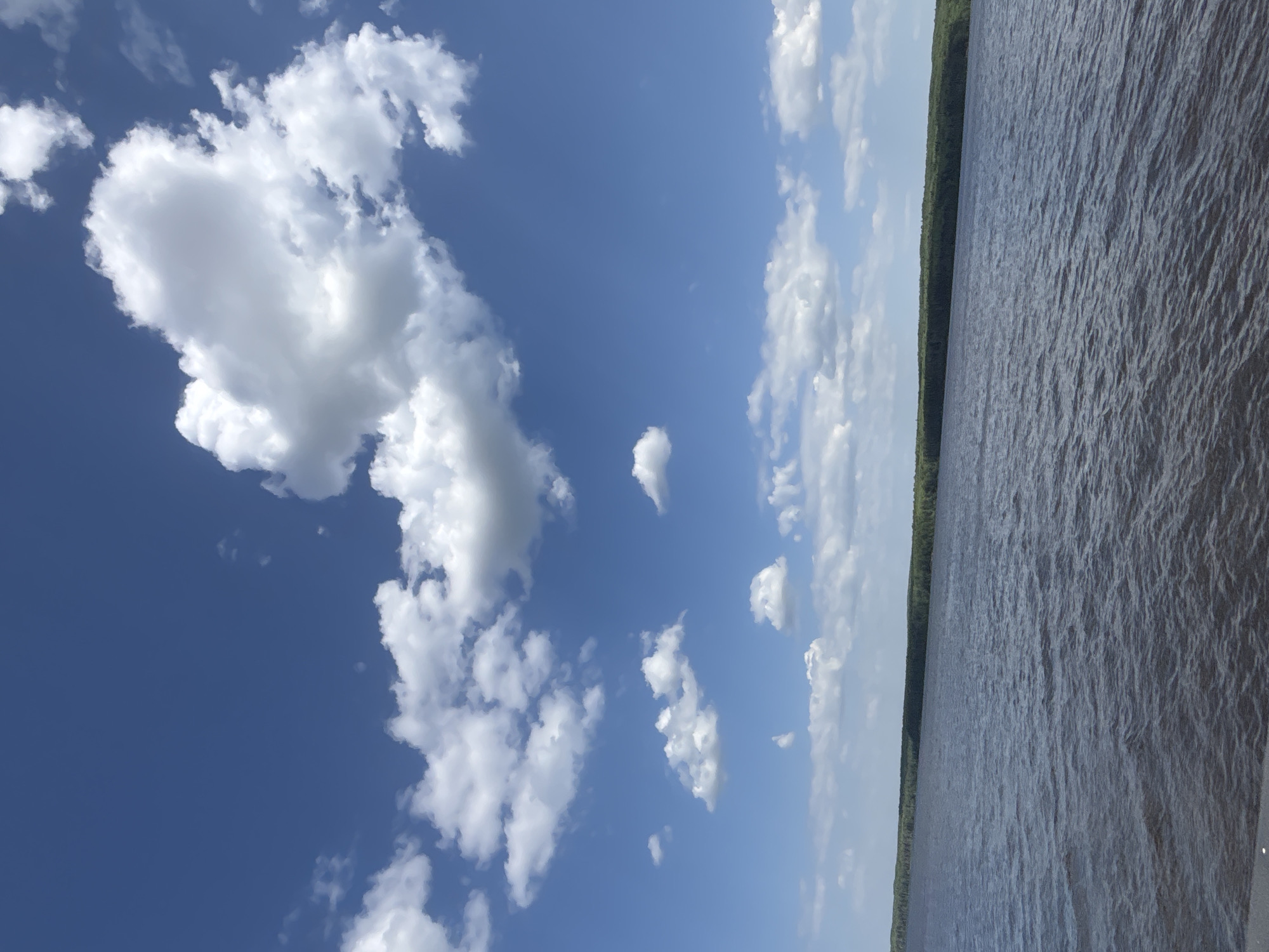 The image shows a waterfront scene. On the right is a large body of water with visible ripples. A strip of trees lines the far shore of the water. The left side of the image is dominated by a bright blue sky with scattered white clouds. The image's orientation is rotated 90 degrees counter-clockwise. There is no specific information to confirm that the location is in the city of Chaikovsky, Russia.
