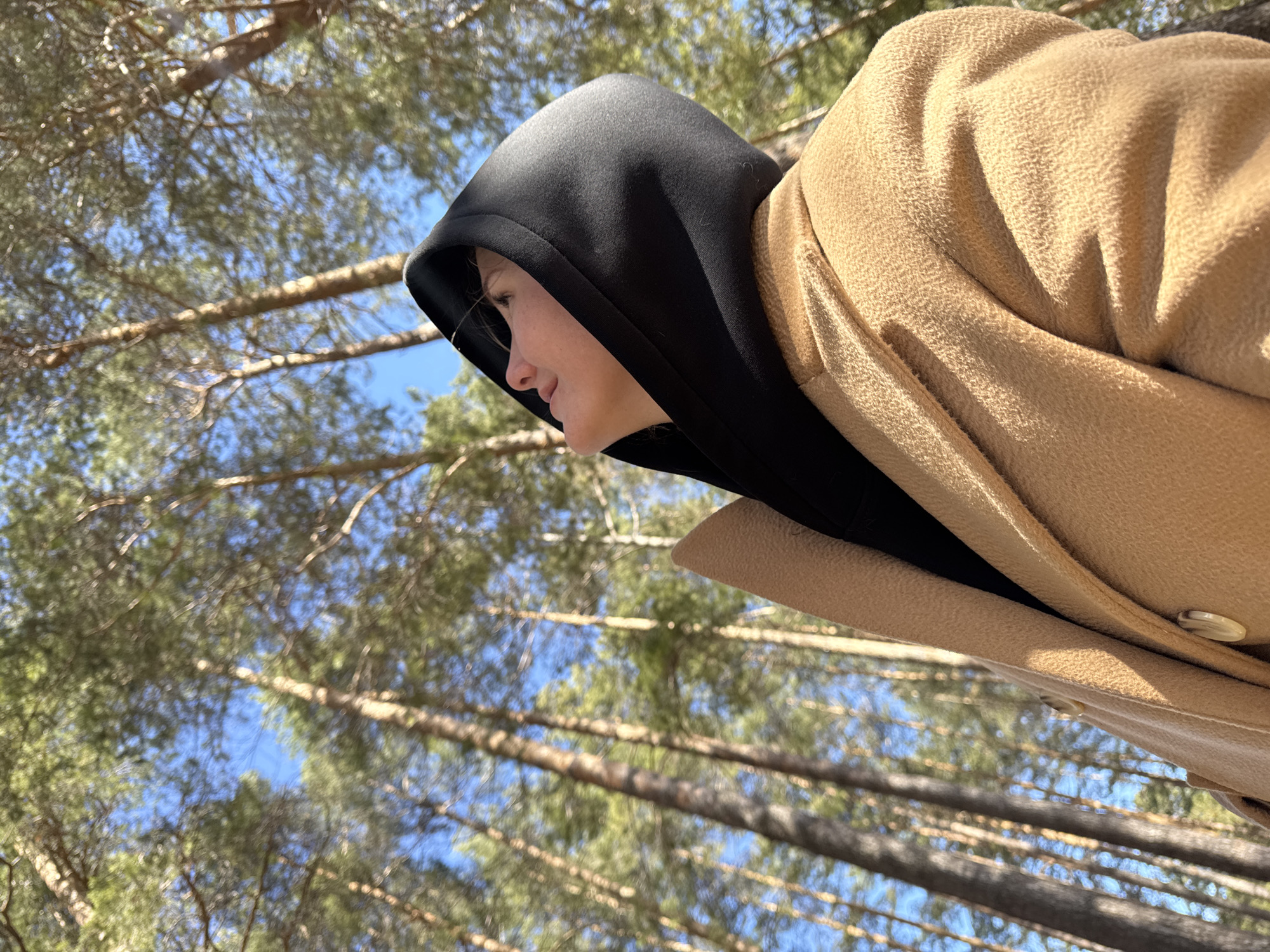 A low-angle outdoor shot captures a person from the chest up, positioned on the right side of the frame, looking towards the left and upwards. The individual is seen in profile, wearing a black hooded sweatshirt with the hood pulled up and a light brown or tan overcoat. The coat features visible buttons and has a textured fabric. Sunlight creates clear highlights and shadows on their clothing and the visible portion of their face (jawline, chin, mouth, nose), indicating a bright, sunny day. Their expression is neutral and calm, with their gaze directed upwards.
The background consists of a clear blue sky interspersed with the branches and trunks of numerous tall, slender trees with green foliage, typical of a coniferous forest, likely pine trees. The trees are slightly out of focus, providing depth to the image while keeping the person as the primary subject. The setting is an outdoor natural environment, consistent with a forest in Polazna, Russia, experiencing bright, clear weather. No visible text is present in the image.