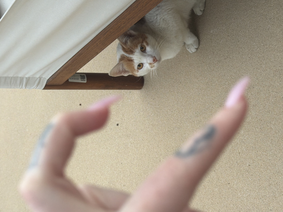 A blurred human hand in the foreground, featuring long, light pink nails and finger tattoos, forms a heart shape directed towards the mid-ground. Positioned under a piece of furniture, a white and orange domestic cat with amber eyes looks towards the hand. The furniture consists of a wooden frame with light-colored, pleated fabric upholstery. One wooden leg displays a white label with "NADAB" (partially visible) and a QR code. The environment features a light tan, speckled ground. This scene is located in Dubai, United Arab Emirates.