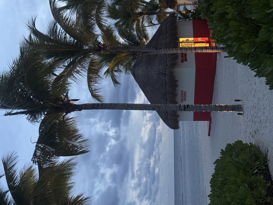A beach scene shows a lifeguard station with a thatched roof. It's painted with alternating red and white stripes, displaying the words "ORLEBAR BROWN". The station sits on a sandy beach overlooking the ocean under a cloudy sky. Palm trees are framing the scene on either side, with dense green bushes on the right. The photo has a dreamy, calming atmosphere.