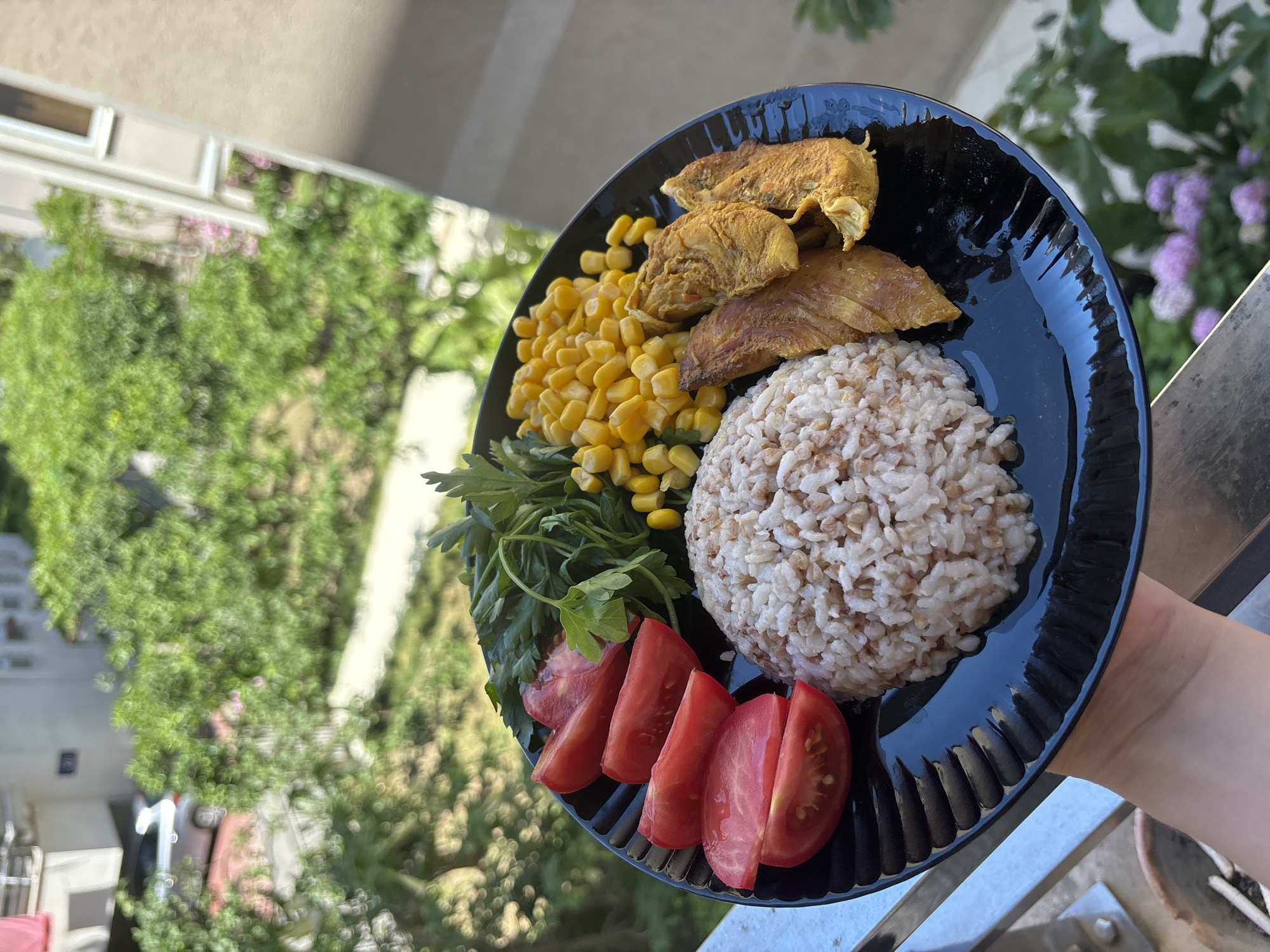 A black plate containing a meal is held by a person's left hand. The meal consists of sliced tomatoes, cooked rice, corn kernels, and cooked chicken breast pieces. The plate is positioned outdoors, with greenery and a building visible in the background. The lighting suggests it is daytime.