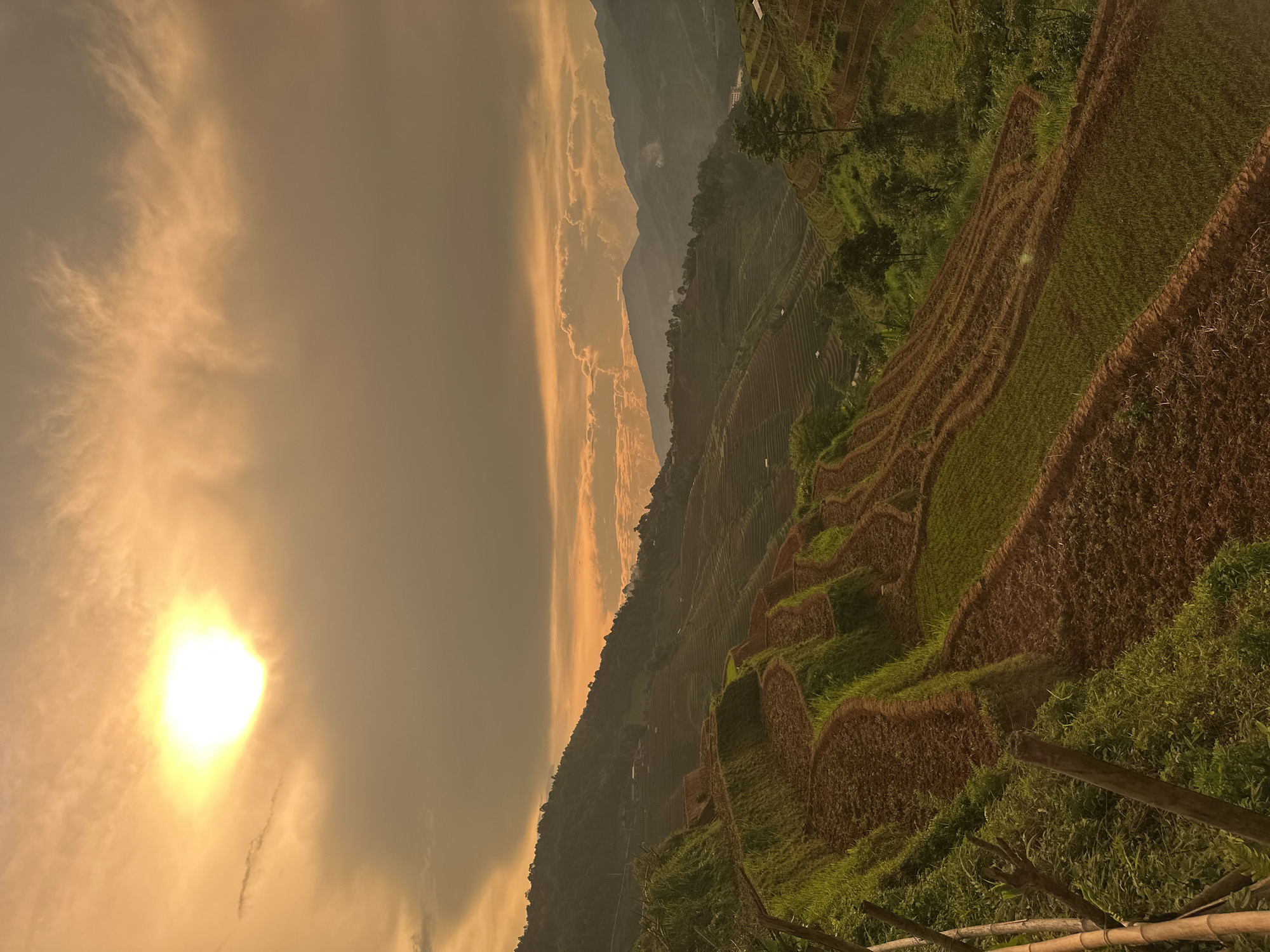 This image captures a sweeping landscape view of extensive rice terraces in a mountainous region, characteristic of Lao Chai, Vietnam. The scene is illuminated by the warm, golden light of either a sunrise or sunset, with a bright, intense sun visible on the left side of the frame. The sky is filled with soft, hazy clouds that are bathed in shades of orange and yellow, creating a radiant glow around the sun and along the horizon.
In the mid-ground, multiple layers of mountains recede into the distance, appearing as muted, hazy silhouettes against the vibrant sky. The terrain is dramatically sculpted, showcasing the immense scale of the landscape.
The foreground and much of the mid-ground are dominated by the intricate patterns of the rice terraces. These agricultural steps descend down the steep slopes, exhibiting a mosaic of colors. Some terraces are a lush, vibrant green, indicating active cultivation of rice, while others appear in shades of brown, possibly freshly tilled soil or fallow sections. The curved lines of the terraces create an organic, artistic design across the landscape. Scattered trees and vegetation are visible amidst the terraces and on the hillsides. In the lower right corner, parts of a rustic wooden or bamboo railing are visible, suggesting an elevated viewpoint.
The overall atmosphere is serene and majestic, emphasizing the beauty of human-modified landscapes within a grand natural setting. No people or visible text are present in the image.