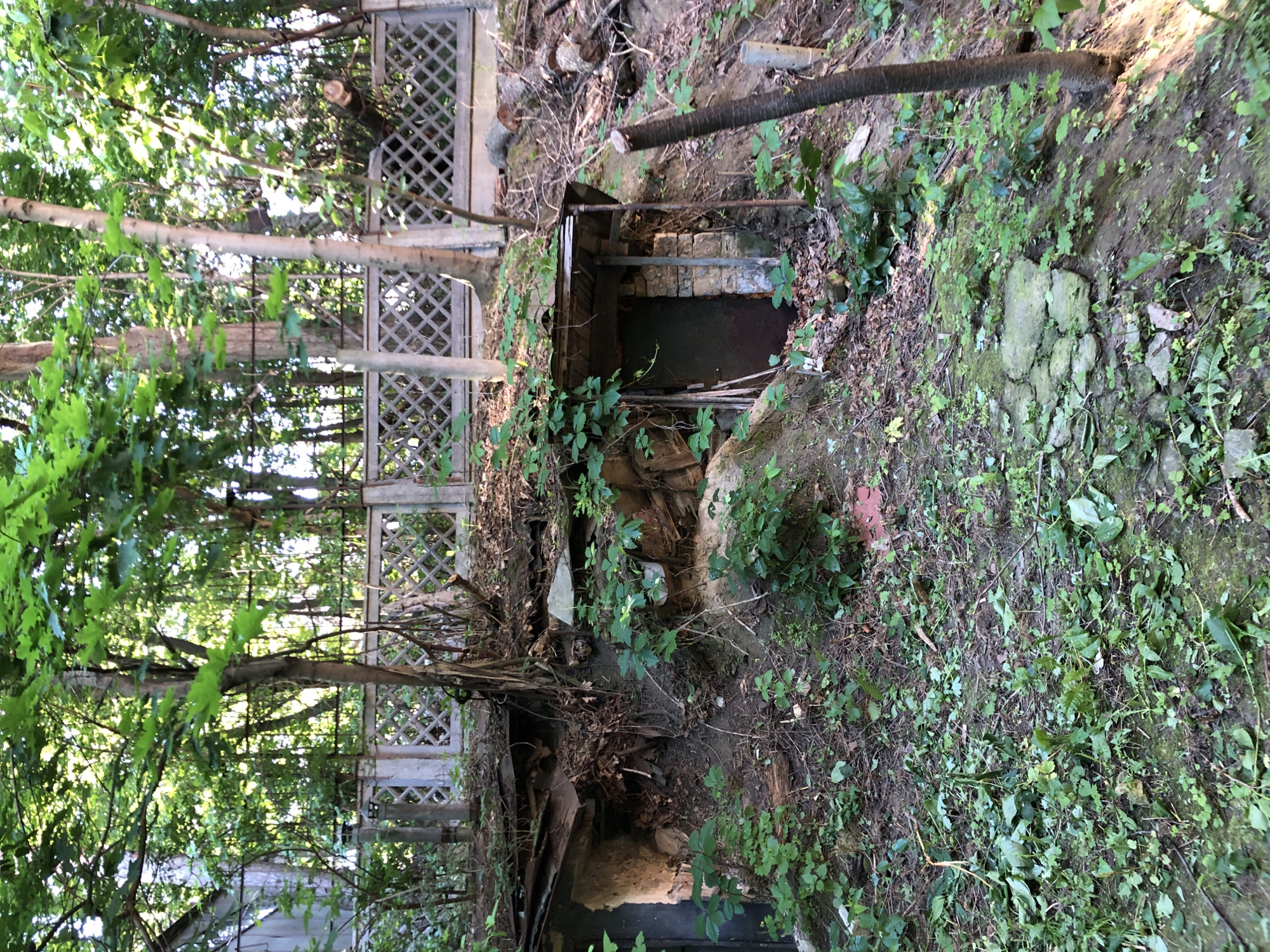 In an outdoor scene in the city of Unknown, Unknown, a dilapidated structure is built into a wooded hillside. The structure appears to be a root cellar or small storage building, with a dark, metal door set into a stone facade. Overgrown vegetation covers the entrance and spills onto the surrounding ground, which is covered in leaves and debris. A weathered wooden roof is supported by metal poles. Above the structure, a concrete fence with a diamond pattern runs horizontally across the image. The background consists of dense trees and foliage. The overall impression is one of neglect and disrepair.