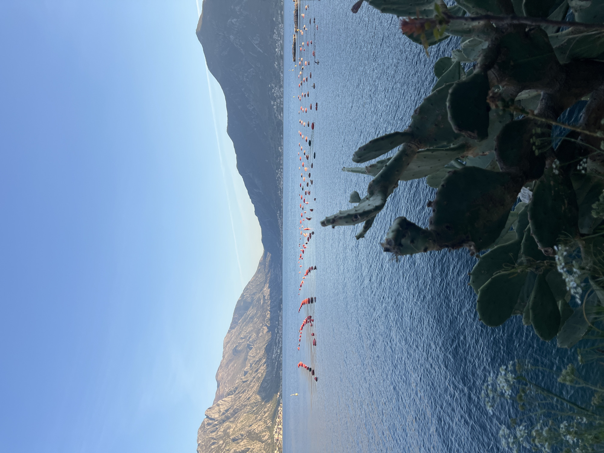 The image captures a view of the Bay of Kotor in Donji Orahovac, Montenegro. A mountain range is visible on the left, while the blue sea occupies the majority of the frame. A row of orange and red buoys stretches across the water. In the foreground on the right, there is a cactus. The sky is clear and blue.