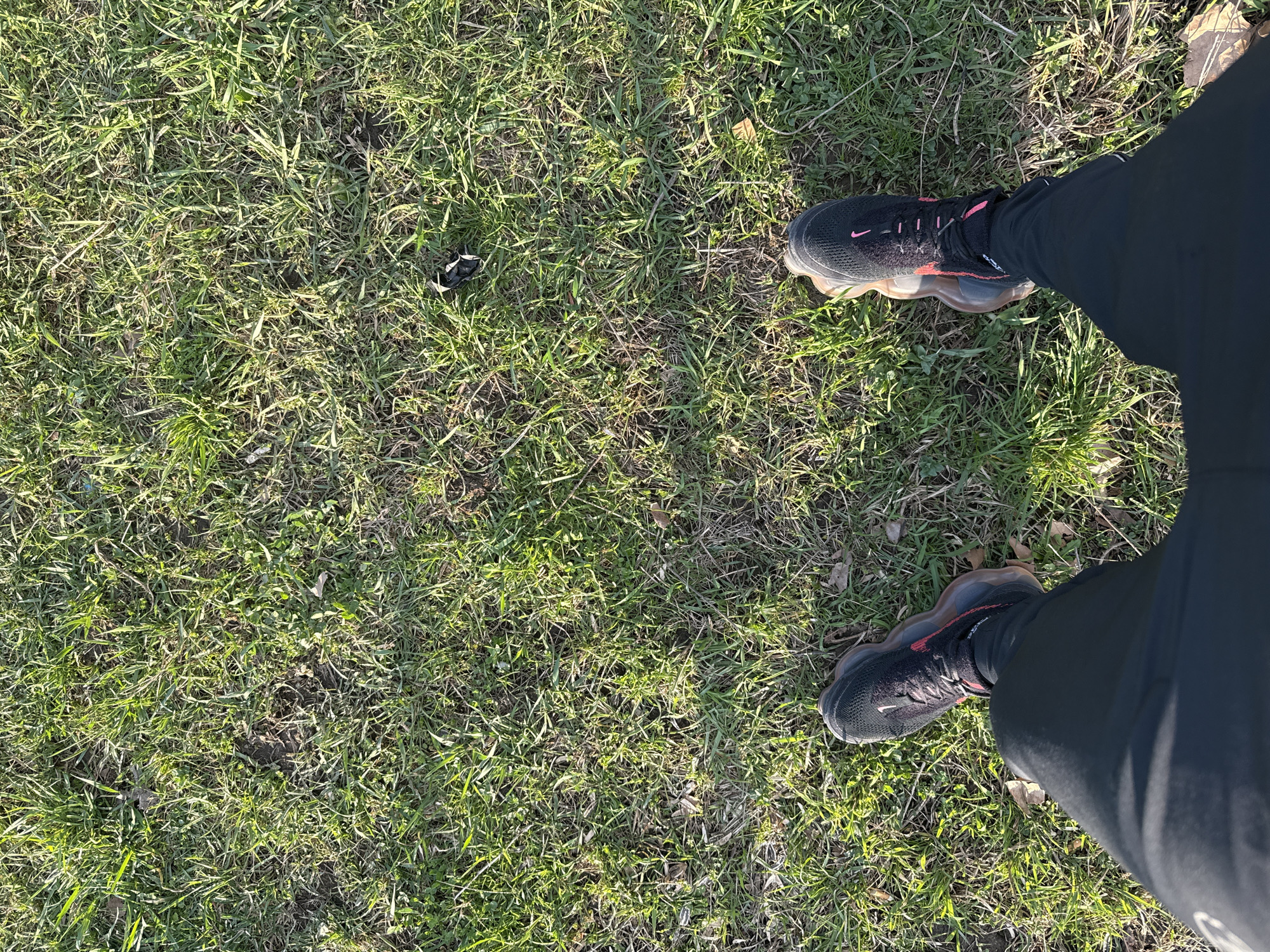 A first-person perspective photograph depicts two feet clad in black Nike running shoes with pink accents, standing on a patch of green grass. The grass appears to be a mix of blades and patches of bare earth, indicative of a natural outdoor environment. The lower portion of the person's legs is visible, covered by black sweatpants. The overall composition suggests the individual is standing outdoors. The location in the city of Dushevo, Bulgaria, cannot be verified from the provided image.
