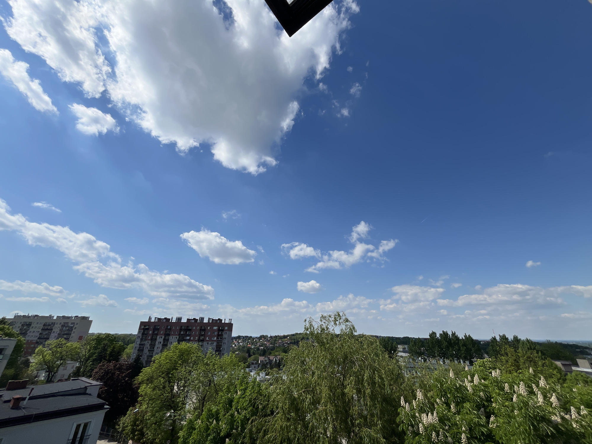The image depicts a cityscape under a blue sky with scattered white clouds. Buildings are visible in the middle ground, partially obscured by trees. The trees in the foreground are lush and green, with some displaying white blossoms. A dark, angular shape is present in the top center of the frame. Location: Unknown, Unknown.