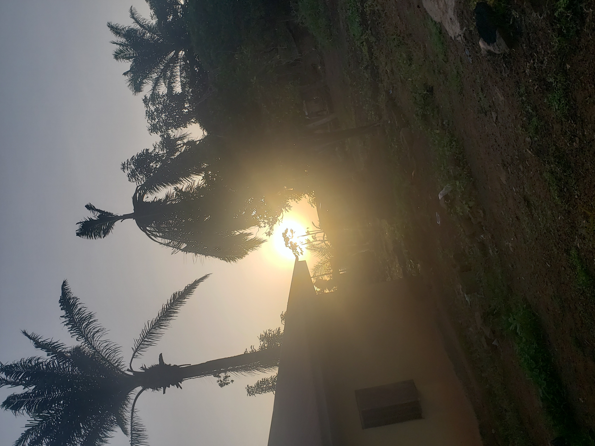 The image depicts a scene at sunrise or sunset in a rural area, likely in or around Kachia, Nigeria. The sky is a pale gradient, transitioning from a lighter hue at the horizon to a darker, muted tone towards the top. The sun, a bright, hazy orb, is low in the sky, casting a strong glare that obscures details in its immediate vicinity.
In the foreground, to the left, is the side of a building, appearing to be a simple house with a dark rectangular window. The building has a light-colored wall. A large palm tree with its fronds silhouetted against the sky stands prominently to the left of the building. Another palm tree, bent over, is visible in the mid-ground, also silhouetted.
The ground in the foreground and mid-ground is a mix of dark soil and patches of green vegetation. There are some fallen leaves and debris on the ground. In the background, further trees and foliage are present, also mostly silhouetted by the low sun. The overall impression is one of a natural, undeveloped environment, characteristic of rural landscapes. The presence of palm trees suggests a tropical or subtropical climate.