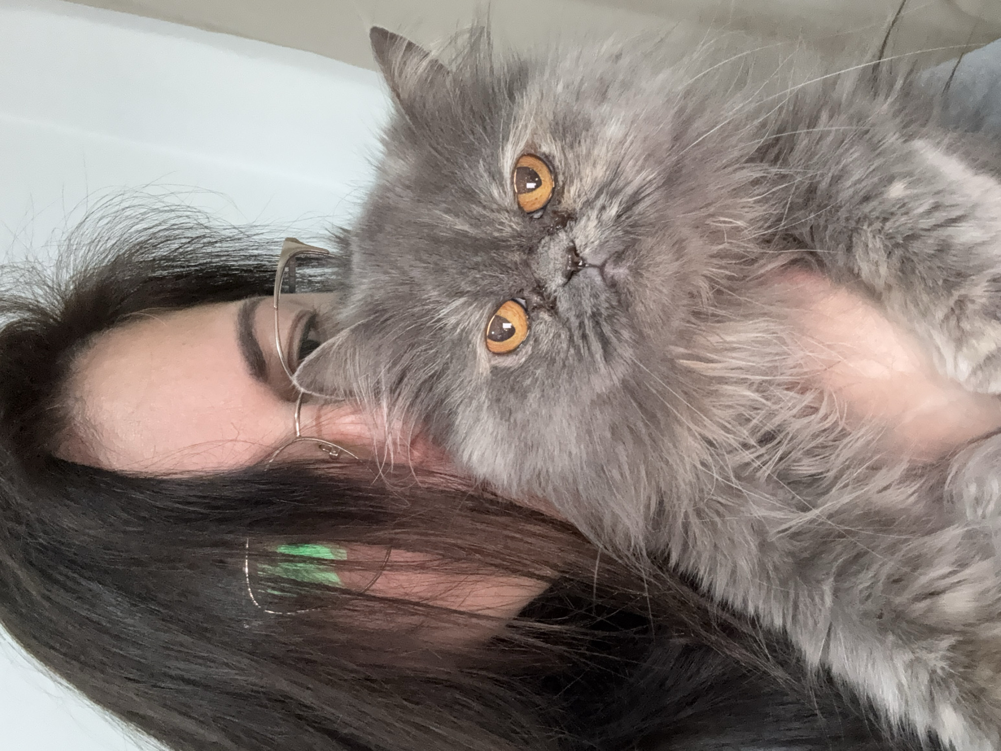A woman with dark hair and glasses is holding a fluffy, grey Persian cat. The cat has striking amber eyes. The location is indeterminate.