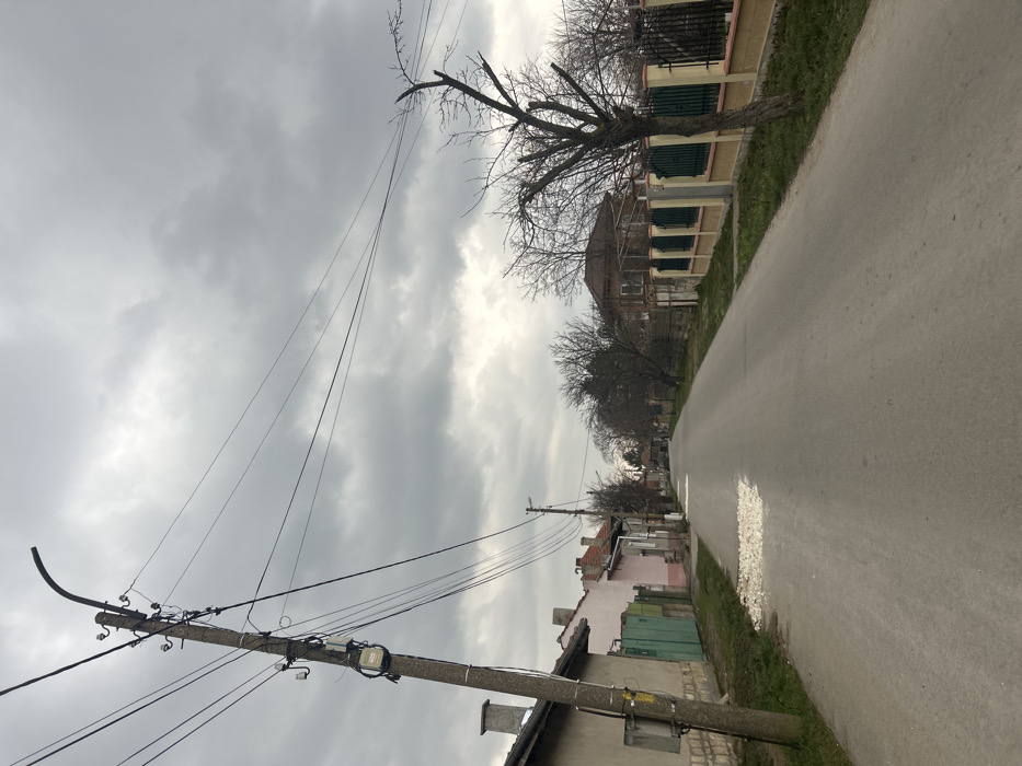 The image captures an empty residential street in Shtraklevo, Bulgaria, under an overcast sky. No people, animals, or vehicles are present. In the left foreground, a concrete utility pole leans slightly, supporting numerous black electrical wires, a street light, and a small white utility box. Adjacent to the pole, a light-colored house features a visible meter box, with patches of dry grass along the roadside. Further along the left side of the street, a pinkish-colored house and green wooden gates are visible, along with additional bare deciduous trees. The asphalt road, which recedes into the background, has a conspicuous patch of white crushed aggregate in its mid-section. On the right side, a bare, gnarled deciduous tree stands beside a perimeter fence constructed with yellow pillars and alternating dark green and black metal sections. Behind this fence, a two-story house with a brown tiled roof is observable. The background consists of more bare trees and indistinct residential structures. The sky is uniformly covered with thick grey clouds.