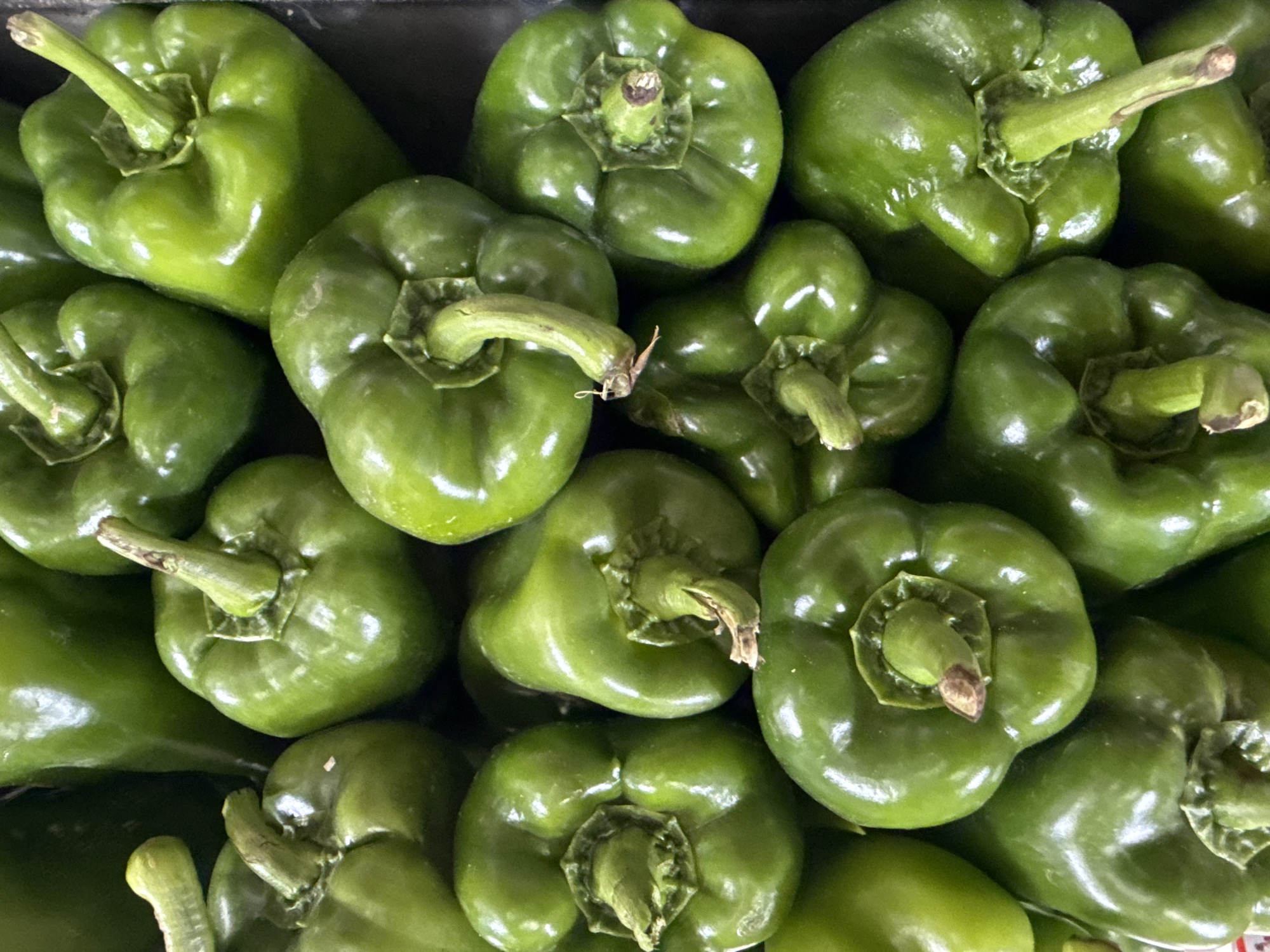 A close-up, overhead shot displays a pile of fresh, vibrant green bell peppers. The peppers are mostly whole, with some showing their stems and the characteristic indentations at the top. Their smooth, glossy skin reflects the light, highlighting their crisp, ripe appearance. The arrangement is somewhat chaotic, with peppers overlapping each other, creating a textured and abundant display. The background is dark, making the green of the peppers stand out even more. The image is in focus, capturing the fine details of the peppers' surfaces.