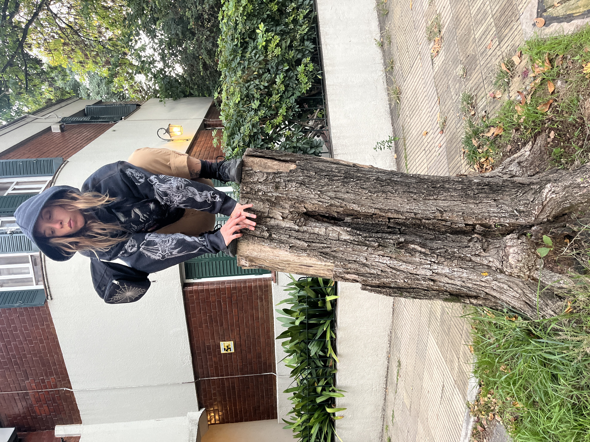 The image, taken in Olivos, Argentina, captures a young person crouching on a large tree stump in an outdoor setting. The photograph is oriented 90 degrees clockwise, making the tree stump appear horizontal across the middle of the frame, with the background buildings standing vertically on the left.
The central subject, with long blonde hair, is wearing a dark hooded sweatshirt adorned with elaborate white graphics, possibly depicting dragons or mythical creatures, on the sleeves and torso. They are dressed in khaki pants and dark shoes, with their hands resting on the rugged bark of the tree stump. A black fanny pack, featuring a distinctive white spiderweb design, hangs from their hip.
In the background, two-story buildings with alternating brick and white-painted facades are visible. Several windows have dark green louvered shutters, and a classic black outdoor lamp with a warm glow is mounted on one of the white walls. Lush green foliage, including dense bushes and ground cover, surrounds the buildings and parts of the tree stump. The ground beneath the tree stump and extending to the right features a paved walkway with a diagonal stripe pattern, interspersed with patches of grass and fallen leaves.
The lighting suggests it is daytime, possibly overcast or early morning/late afternoon, as the light is soft without strong shadows. A yellow sign on a brick wall includes a black dog silhouette and the Spanish text "ZONA PROTEGIDA" (Protected Zone) and "CON MONITOREO" (With Monitoring), indicating a monitored area. The person's expression is neutral, seemingly posing for the photograph.