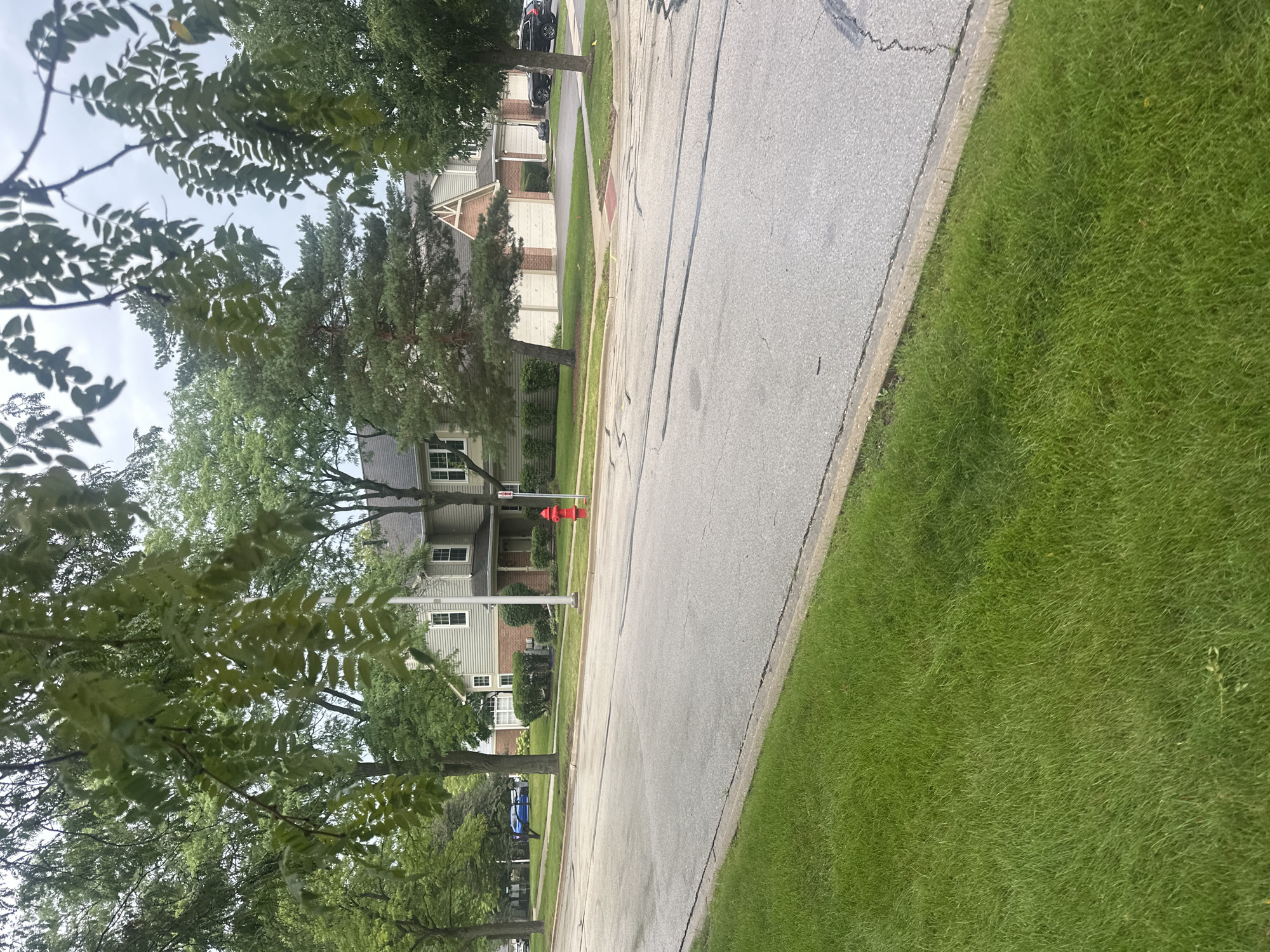The image depicts a street scene in Schaumburg, Illinois, USA, on an overcast day. A paved road runs diagonally from the bottom left to the upper right, with a green lawn bordering its left side and a residential area on its right. The residential area consists of townhouses with light-colored siding, brick accents, and attached garages. Mature trees, including a pine tree, are scattered throughout the scene, with some branches and leaves obscuring parts of the view in the foreground. A bright red fire hydrant stands near the sidewalk in front of one of the residences. A dark-colored SUV is parked in front of a townhouse on the right side of the image. The overall impression is a suburban street with well-maintained landscaping.