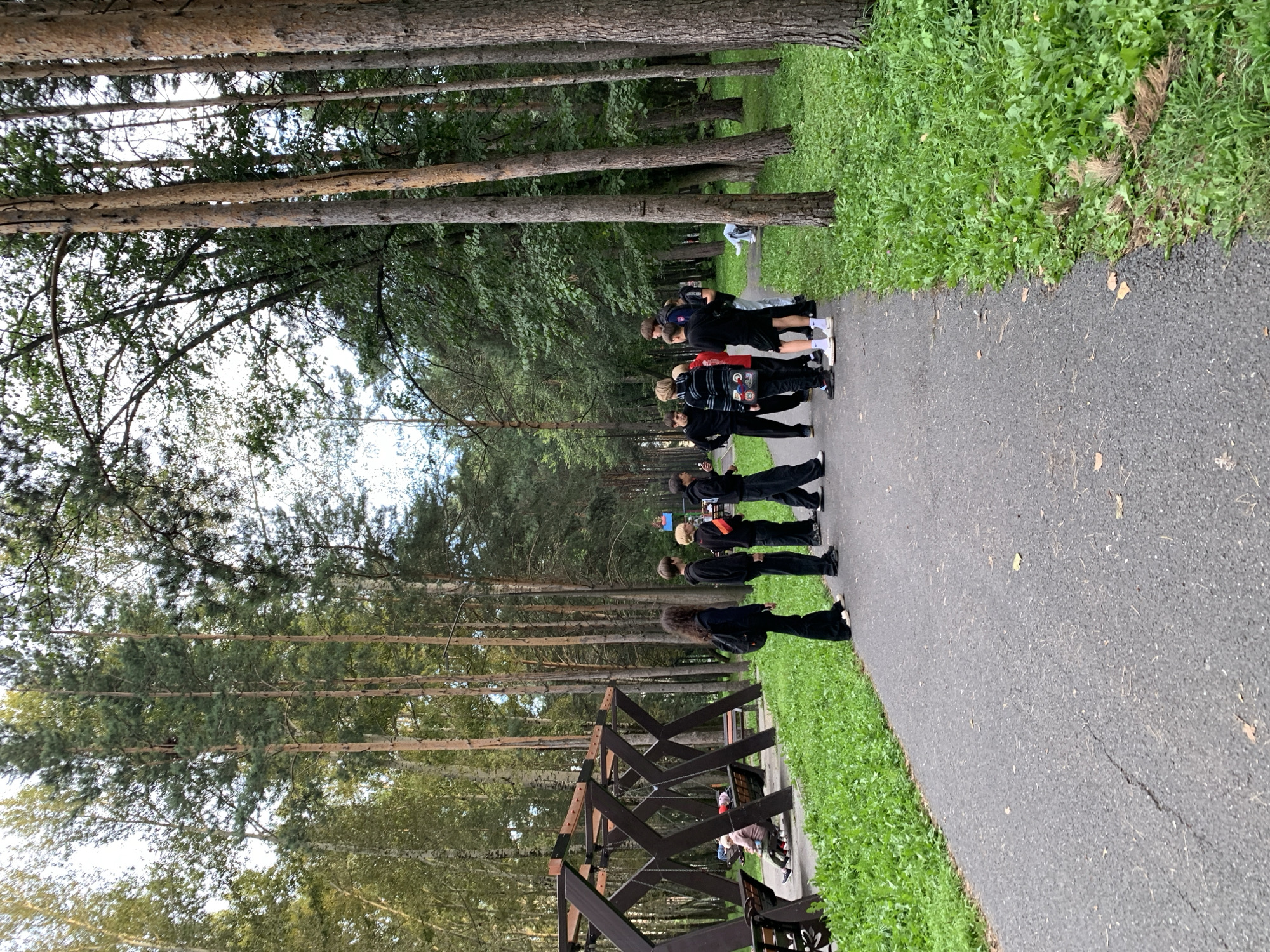 In Prokopyevsk, Russia, a group of teenagers is gathered on a paved path lined with lush green grass and tall pine trees. The path appears to be in a park or recreational area. The teenagers, dressed in casual, dark-colored clothing, are standing in a loose cluster, some facing each other in conversation. To the left of the path, there is a dark-colored swing set with benches beneath it, where one person is seated. In the background, the dense forest creates a natural and tranquil atmosphere. The lighting suggests it is daytime, possibly late afternoon, with soft, diffused light filtering through the trees. The overall scene depicts a casual gathering of young people in an outdoor, natural setting.