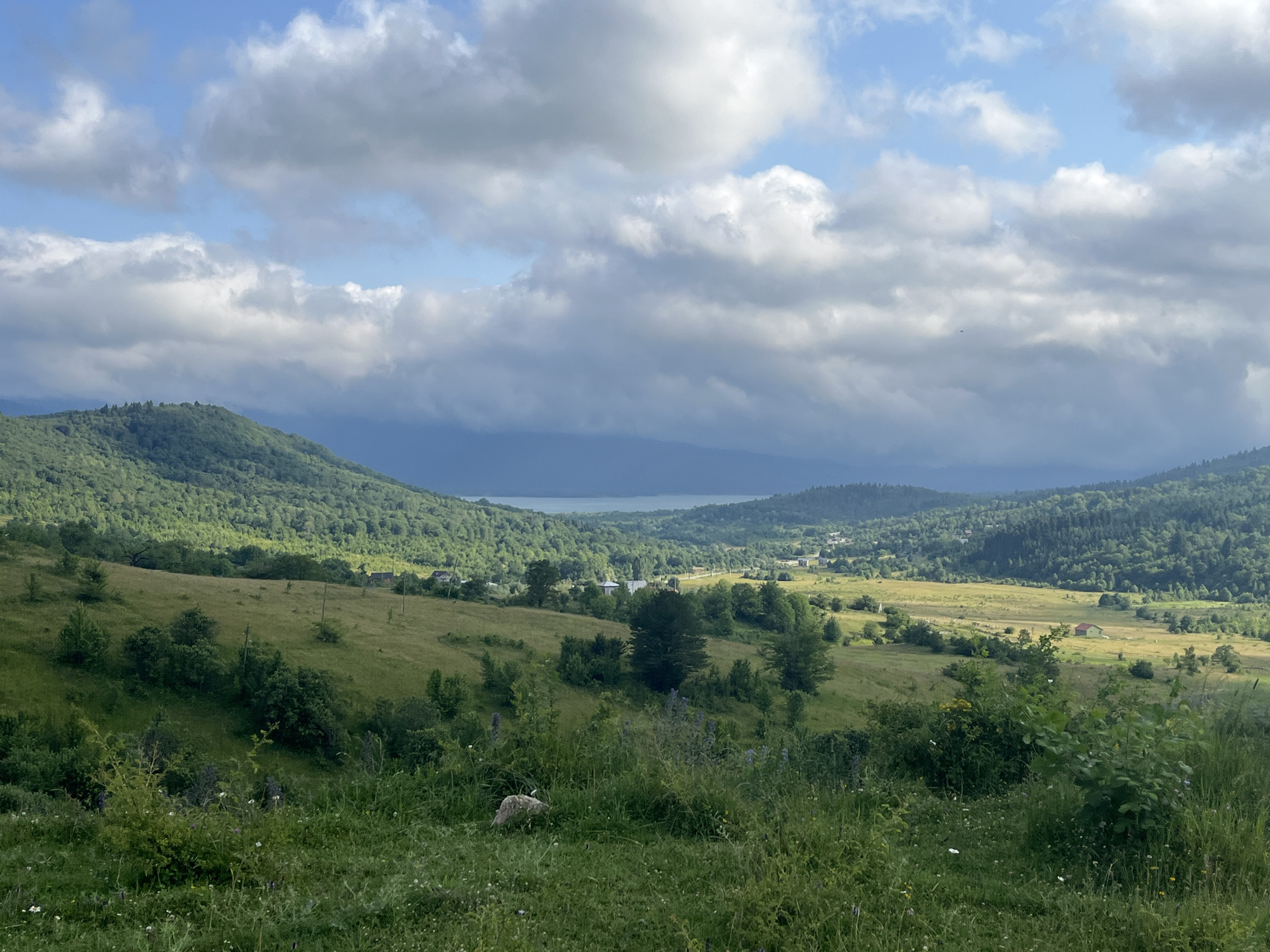 The image depicts a panoramic view of a lush, mountainous landscape with a body of water in the distance, likely Lake Shaori, near the city of Nikortsminda, Georgia. The foreground is dominated by a verdant meadow covered in tall grasses and wildflowers, with a few scattered bushes and a large rock visible. In the mid-ground, rolling green hills are dotted with trees and a few small buildings, suggesting a rural settlement. The background features the expansive, calm waters of the lake, framed by more densely forested mountains under a partly cloudy sky. The overall impression is one of natural tranquility and scenic beauty, characteristic of the region.