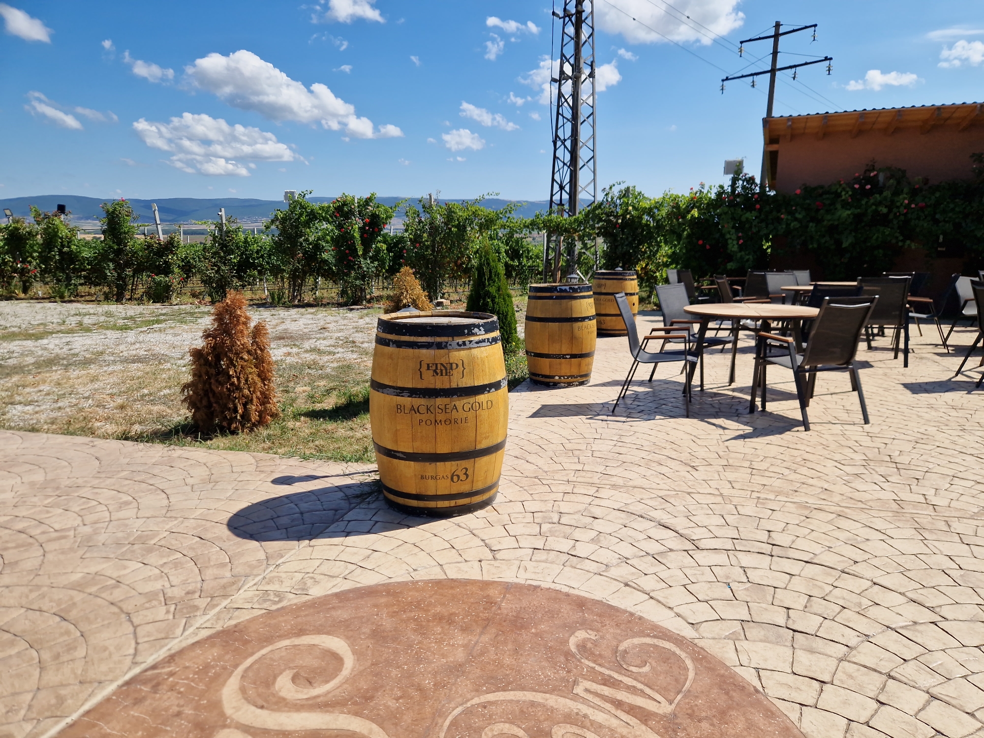 A sunny, outdoor scene at a winery or restaurant in or near Tankovo, Bulgaria. The foreground features a decorative paved patio with a circular reddish-brown inset bearing a stylized scroll design. Beyond this, a tan-colored, stamped-concrete patio with a fan pattern is visible. Three large wooden wine barrels are positioned on the patio; the closest barrel is in the center-left and is labeled "FIND ME," "BLACK SEA GOLD," "POMORIE," and "BURGAS 63." Two other barrels are visible to its right. In the middle ground, a row of tables and chairs with dark metal frames are arranged, with some tables having dark tabletop surfaces. A small, decorative, brown, conical shrub is situated to the left of the closest barrel. In the background, a dense line of green foliage with some red blossoms lines the edge of the patio area. Behind the foliage, a utility tower with crossbars and insulators stands tall against a bright blue sky with scattered white clouds. Distant, undulating hills form the horizon. The overall impression is of a pleasant outdoor seating area, likely associated with a vineyard or winery.