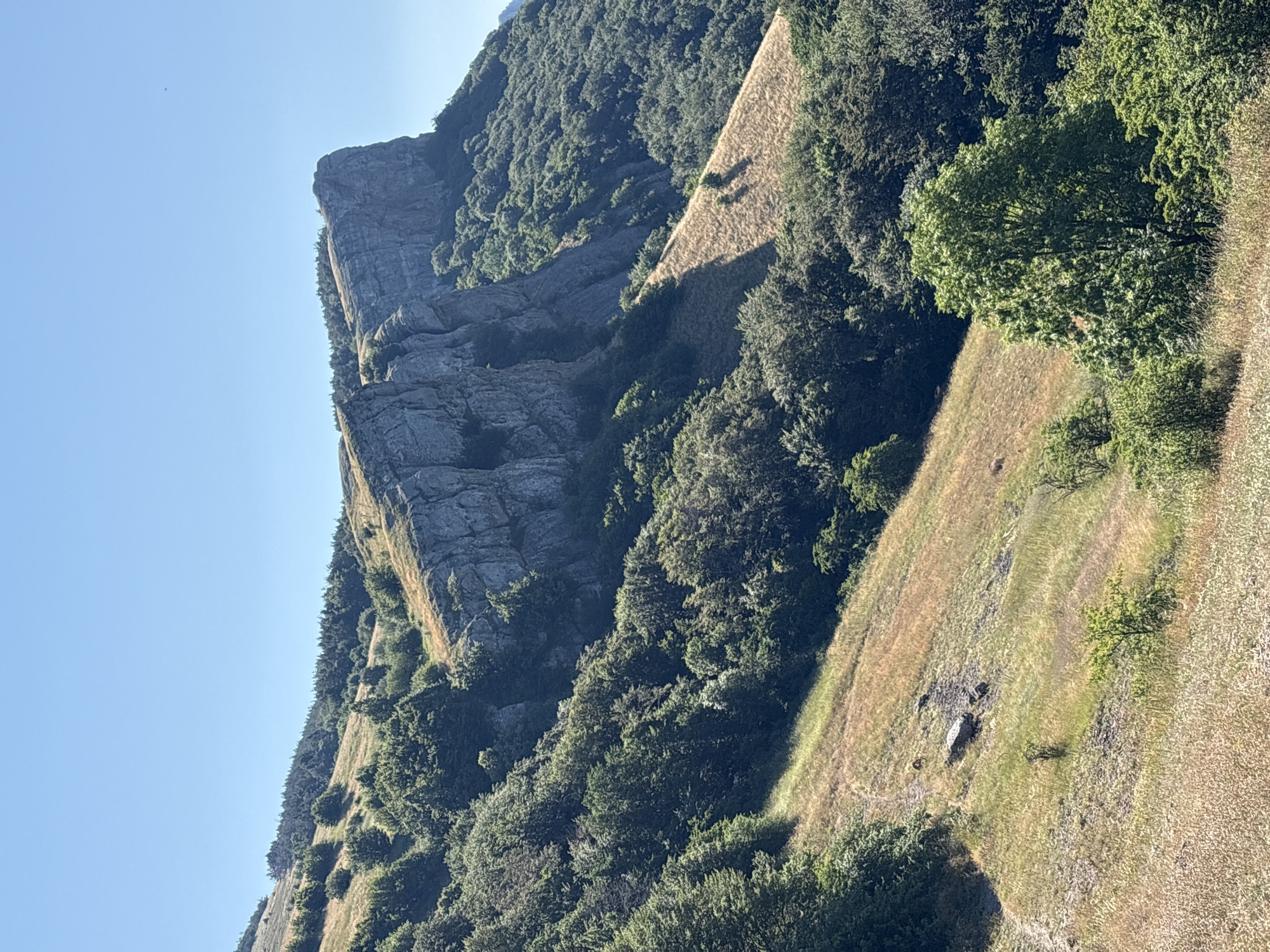 The image captures a panoramic view of a mountainous landscape under a clear blue sky. In the foreground, a dry, grassy slope is dotted with sparse green bushes and trees, with a winding dirt path visible. In the midground, the slope continues upwards, becoming steeper and covered with more dense vegetation, including a variety of green trees. The background is dominated by a prominent, sheer rock cliff face that rises sharply. The cliff is textured and appears to be composed of layers of rock, with some shadows indicating its rugged surface. Beyond the cliff, more forested hills recede into the distance, also under the bright blue sky. The scene depicts a natural, wild environment, suggesting a remote location with significant elevation changes.