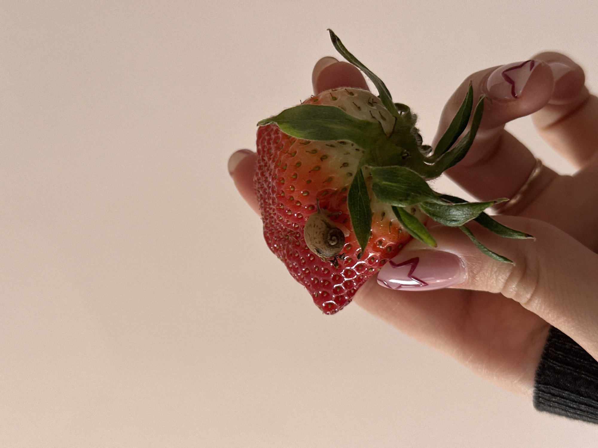 A hand is holding a strawberry with a snail on it. The strawberry is red and green with green leaves. The hand has pink nails with a zig-zag design and a gold ring. The background is a light pinkish beige. There is no evidence to suggest the location is Novi Sad, Serbia.
