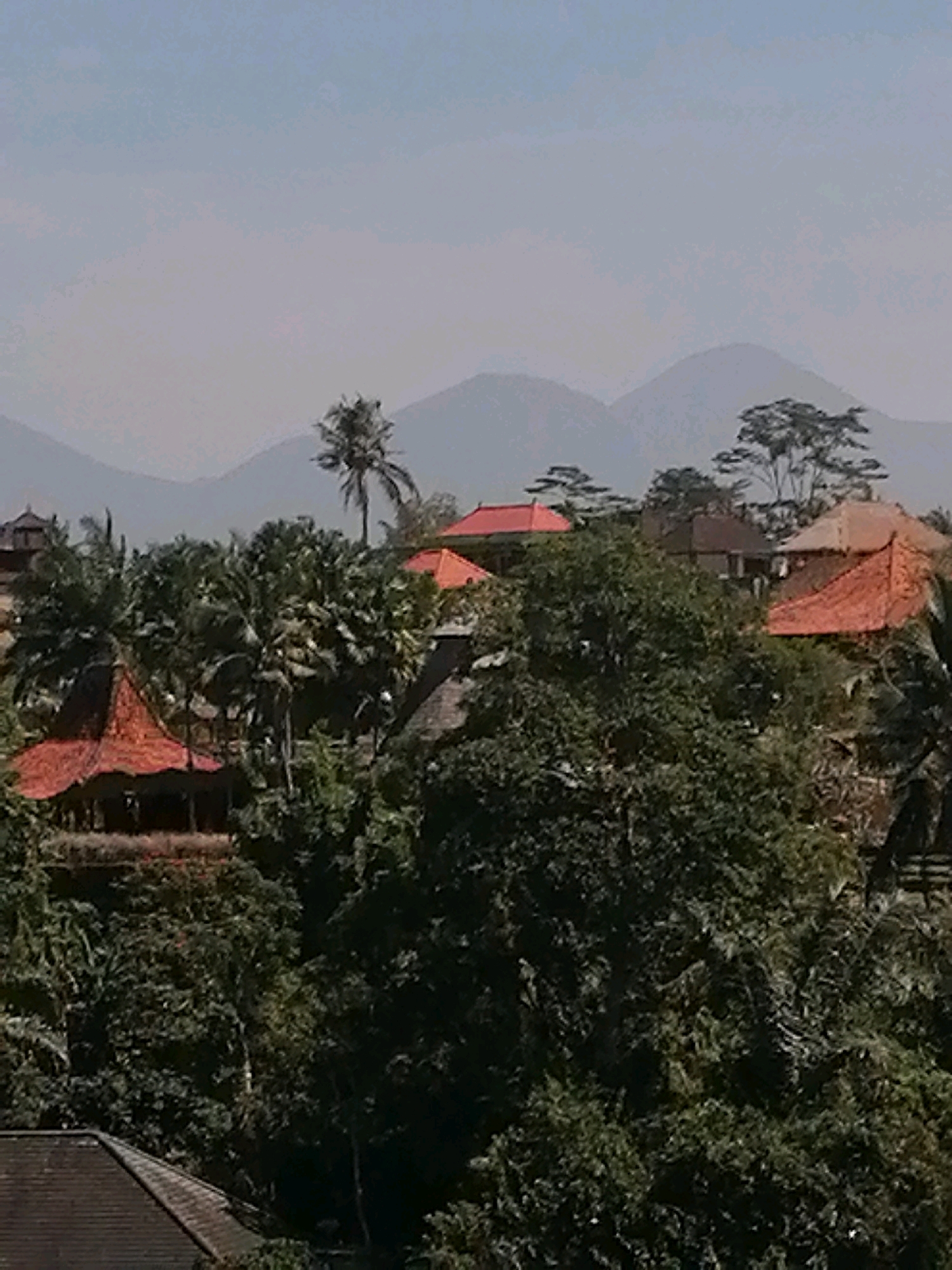 The image shows a view of buildings nestled amongst dense tropical foliage, with mountains in the background. The architecture features traditional Indonesian style, characterized by tiered, conical roofs with reddish-brown tiles and wooden structures. Palm trees and other lush greenery are abundant, creating a natural and secluded atmosphere. The scene evokes a sense of a peaceful, possibly resort-like setting in a tropical environment. The overall lighting suggests a bright, possibly daytime scene. The location appears to be a hillside or elevated area, offering a panoramic view of the surrounding landscape.