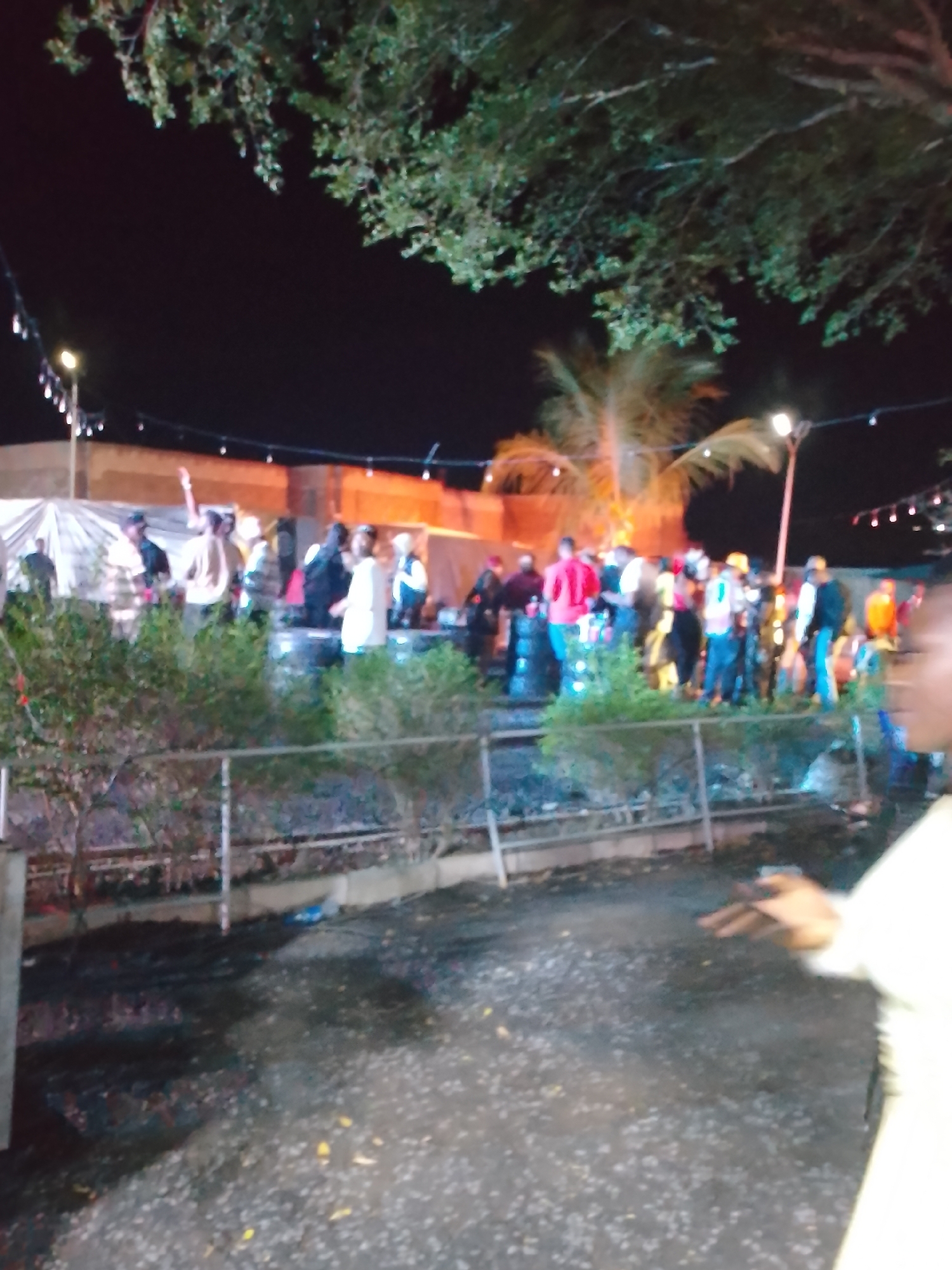 Here is a detailed description of the image:
**Location:** Unknown, Unknown
**Scene:** The image appears to be taken at an outdoor event at night. The lighting is dim, with string lights hanging overhead. A variety of people stand in a group behind a low fence or barrier. There are trees overhead and a palm tree in the background. The ground looks like a rough asphalt surface.
**People:** There is a crowd of people, mostly standing, although their actions and interactions are obscured by distance and the lighting. The people in the front and center are easier to distinguish, with some being partially obscured.
**Objects:** String lights hanging in the trees, a barrier fence, a palm tree, other unidentifiable foliage, and what appear to be beverage containers or tables partially visible.
**Environment:** The image is from nighttime, and the area seems to be an outdoor space set up for an event.