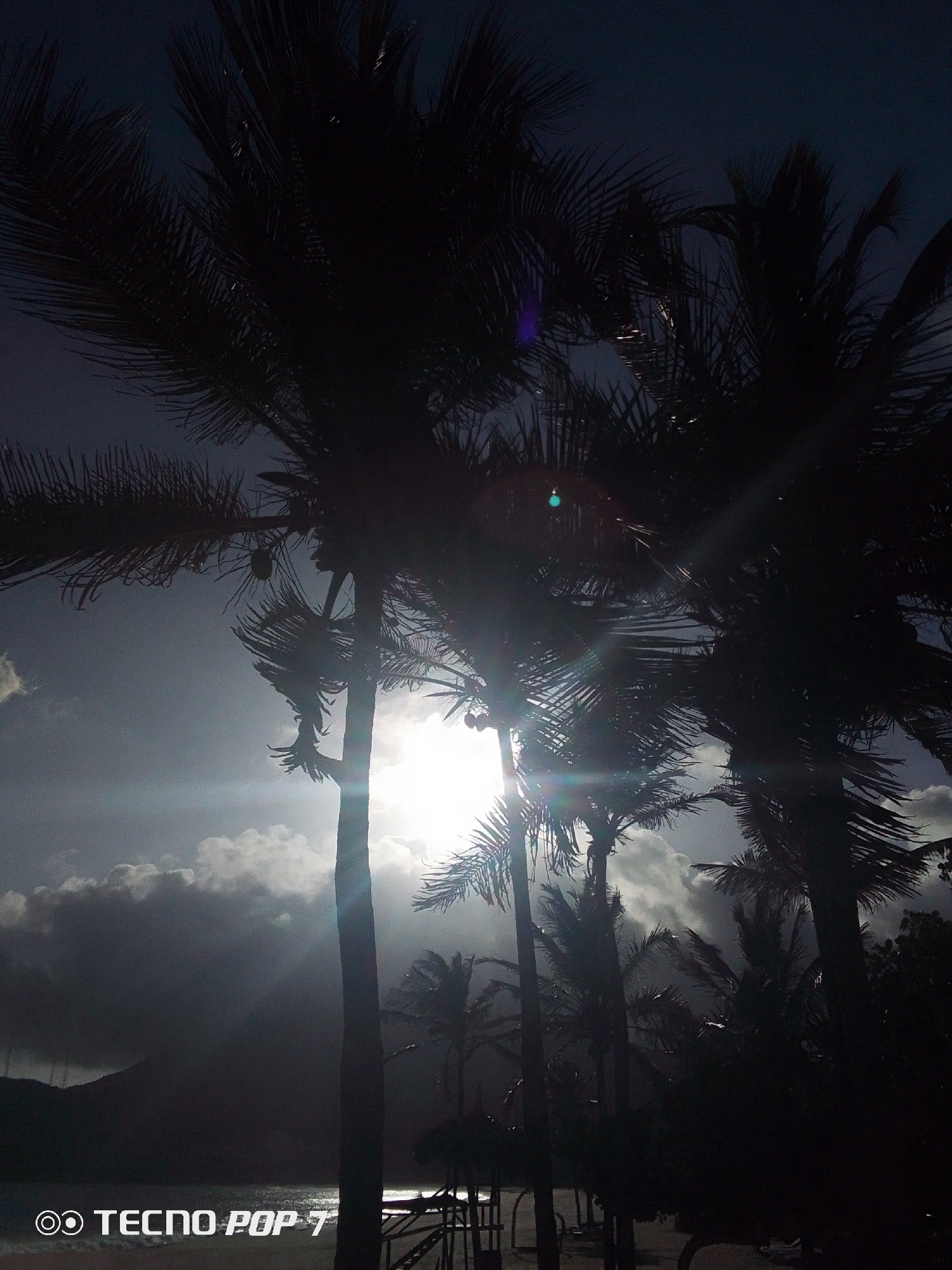 The image depicts a silhouetted view of palm trees in Pedro González, Venezuela. The bright sun is partially obscured by clouds and the trees, creating lens flares. In the background, a dark mass appears to be land or a mountain, and a body of water (likely the ocean) is faintly visible. There are structures (possibly beach umbrellas or buildings) near the base of the palm trees. The environment appears to be a beach. The word "TECNO POP 7" appears at the bottom left of the image, suggesting it was taken with that type of device.