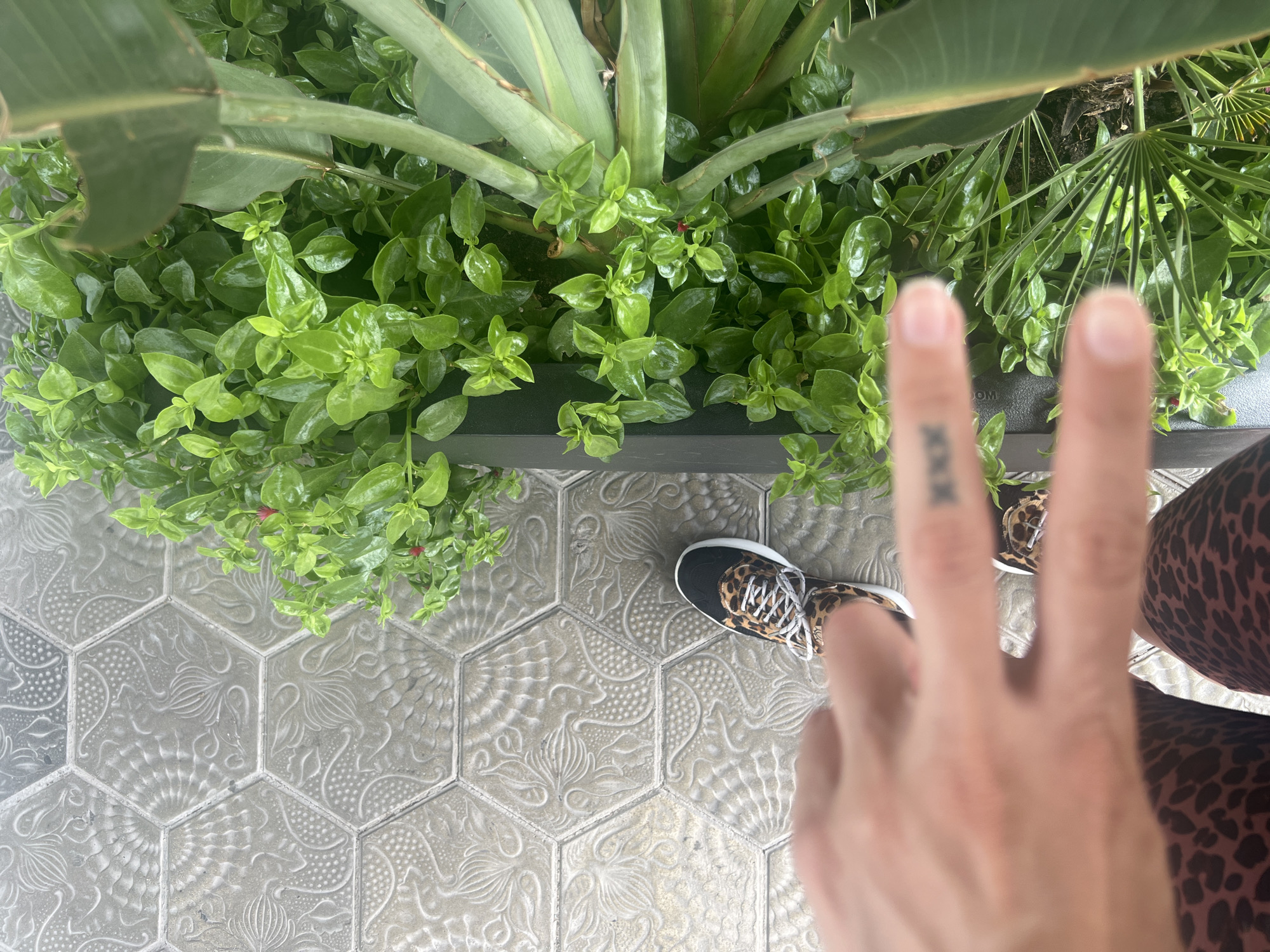 The image shows a first-person perspective of a person's hand and foot. The hand is positioned in the foreground, with fingers extended and a tattoo of "XX" on the ring finger. The person is wearing leopard print leggings and sneakers with leopard print accents. The background features a decorative hexagonal tile pavement, characteristic of Barcelona's sidewalks, and lush green plants in a planter. The pavement's design is a repeating pattern of embossed floral motifs and dots, commonly found in modernist architecture throughout the city. The scene suggests an outdoor urban environment in Barcelona, Spain, likely a public walkway.