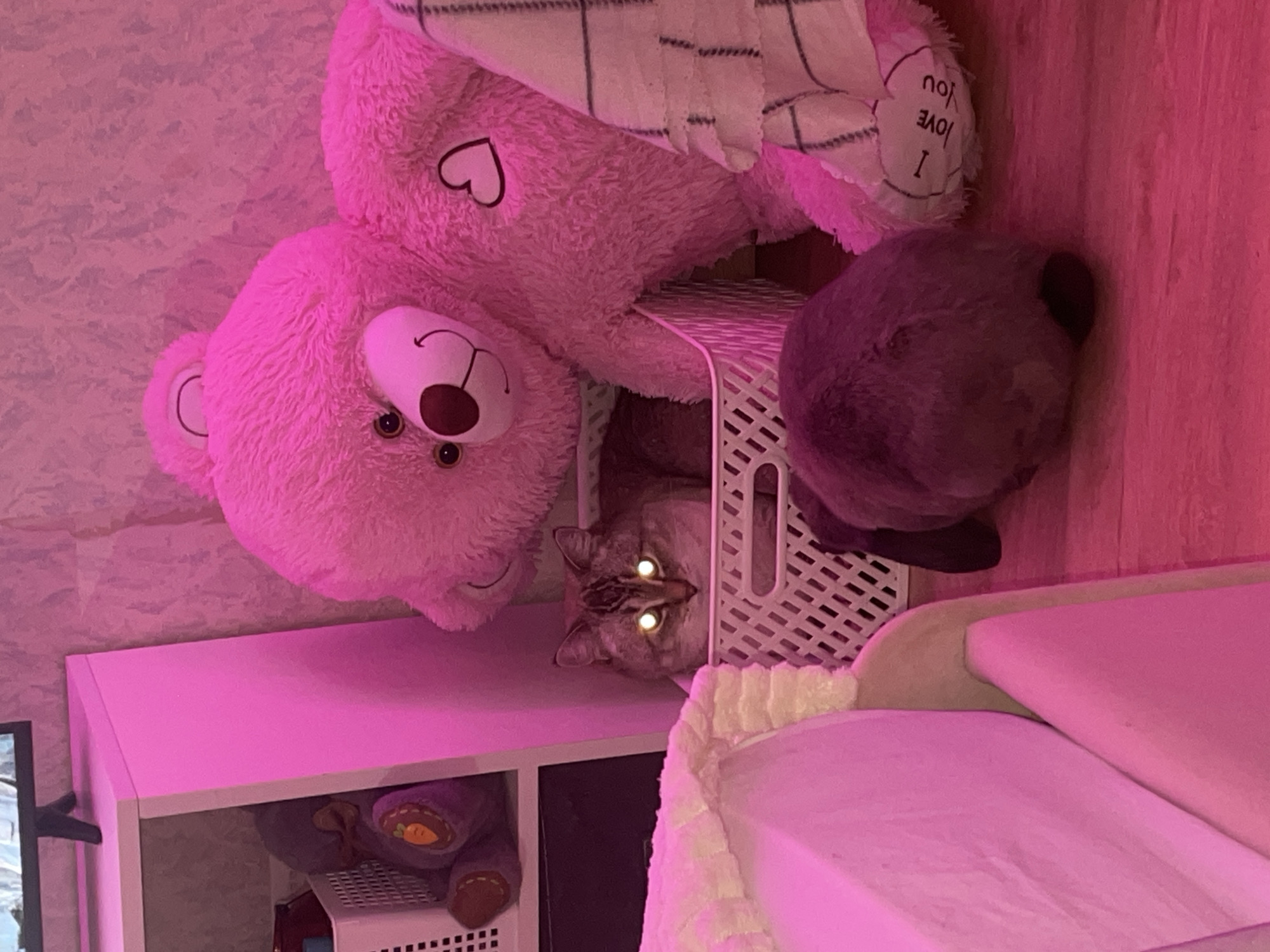 This is a photograph taken indoors, likely in a bedroom, with significant pink lighting. In the foreground, a plush toy rabbit with grey fur is positioned on a wooden floor. Behind the rabbit, a tabby cat with bright, reflective eyes sits in a white woven basket. To the right of the cat, a large, pink teddy bear is slumped against a wall, with a checkered blanket draped over its leg. The teddy bear has a heart with an outline of a heart on its chest and stitching that reads "I love you". To the left of the scene is a white shelf unit, on which another stuffed toy, a purple bear with an orange carrot patch on its belly, is visible inside a white basket. The background wall has a textured wallpaper pattern. The overall impression is a whimsical, toy-filled space illuminated by pink light. There is no indication of the city of Votkinsk, Russia, in the image itself.