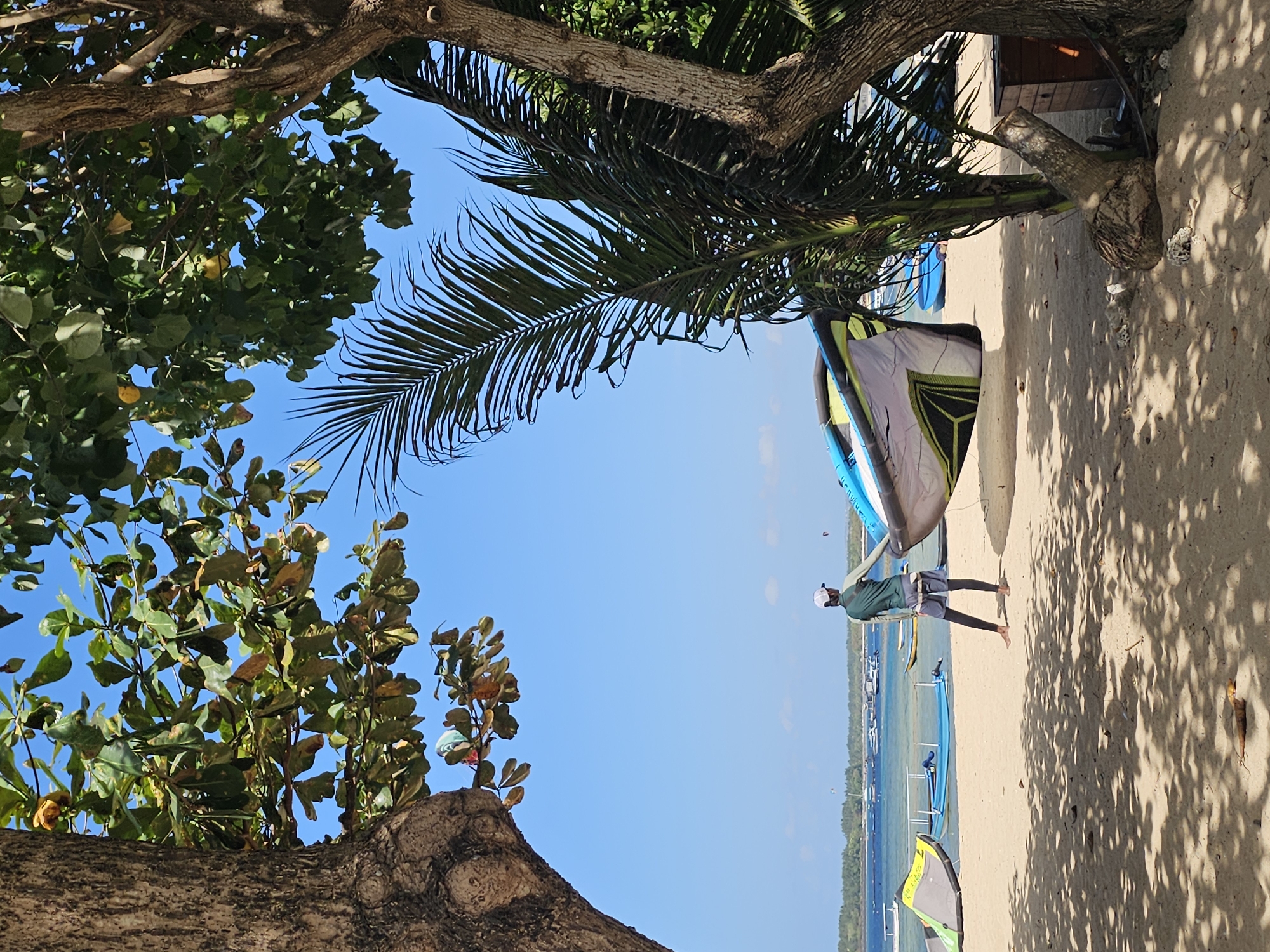 In Denpasar, Indonesia, a person stands on a sandy beach, holding a kite. The kite, predominantly white with green and blue accents, is partially inflated and held open. The person, dressed in a dark green long-sleeved shirt, dark shorts, and a white cap, is positioned with their back to the camera, facing the ocean. The beach is sparsely populated with other kites visible in the background. Several boats are anchored in the shallow, turquoise water. Lush green trees with visible foliage and branches frame the scene, casting dappled shadows on the sand. The sky is a clear, bright blue. The environment suggests a tropical beach location.