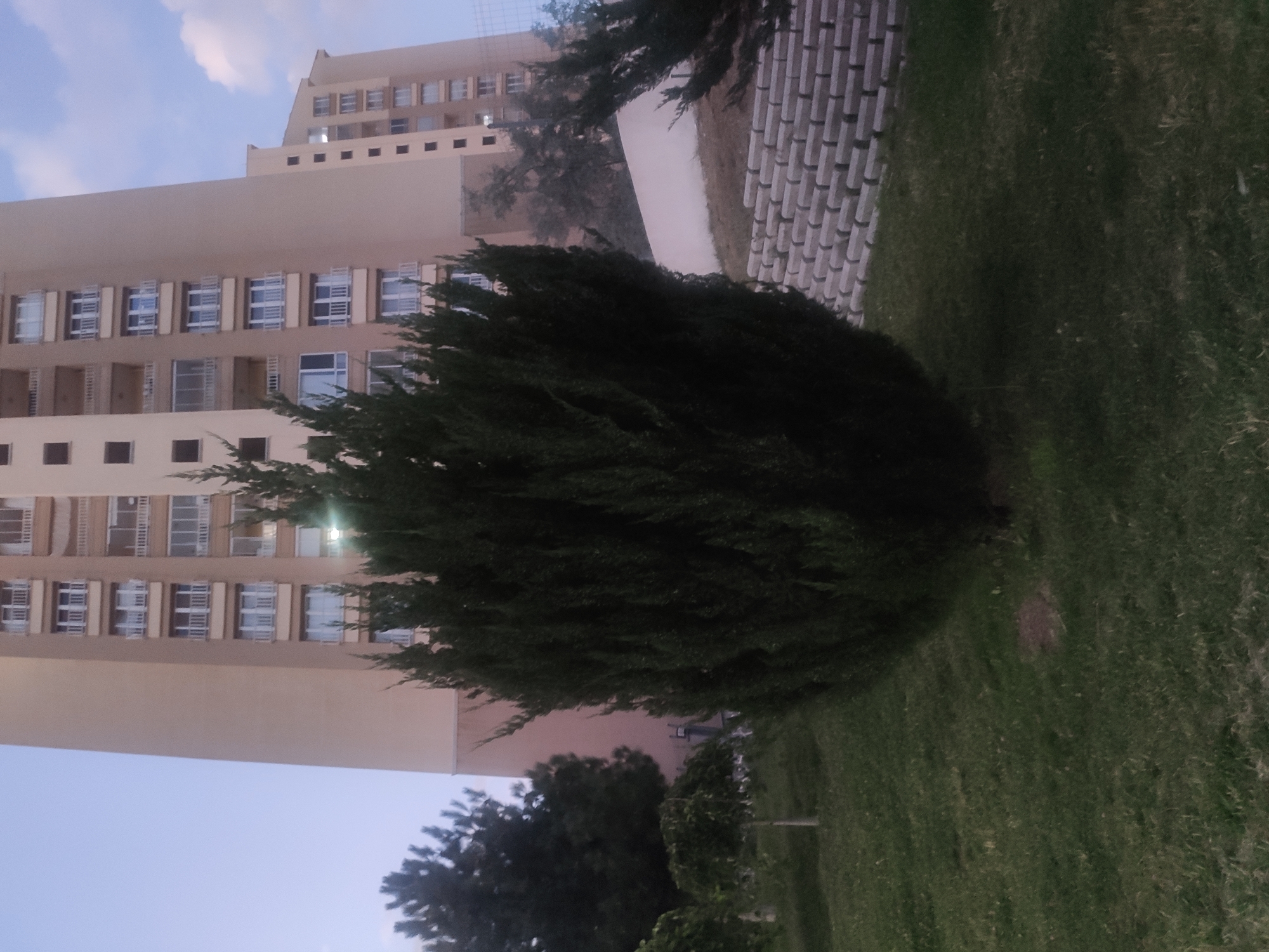 In the city of Etimesgut, Turkey, a dense, dark green evergreen tree stands prominently in the foreground, obscuring a significant portion of the scene. Behind the tree, a tall, light beige apartment building dominates the background. The building features multiple floors with evenly spaced windows and balconies. To the right of the main building, a slightly shorter, similarly constructed apartment building is visible. The ground in front of the buildings is covered in green grass. A retaining wall constructed of interlocking gray concrete blocks is visible to the right of the evergreen tree, supporting an elevated area. The sky above is a pale blue with scattered white clouds. The overall scene suggests a residential area within the city.
